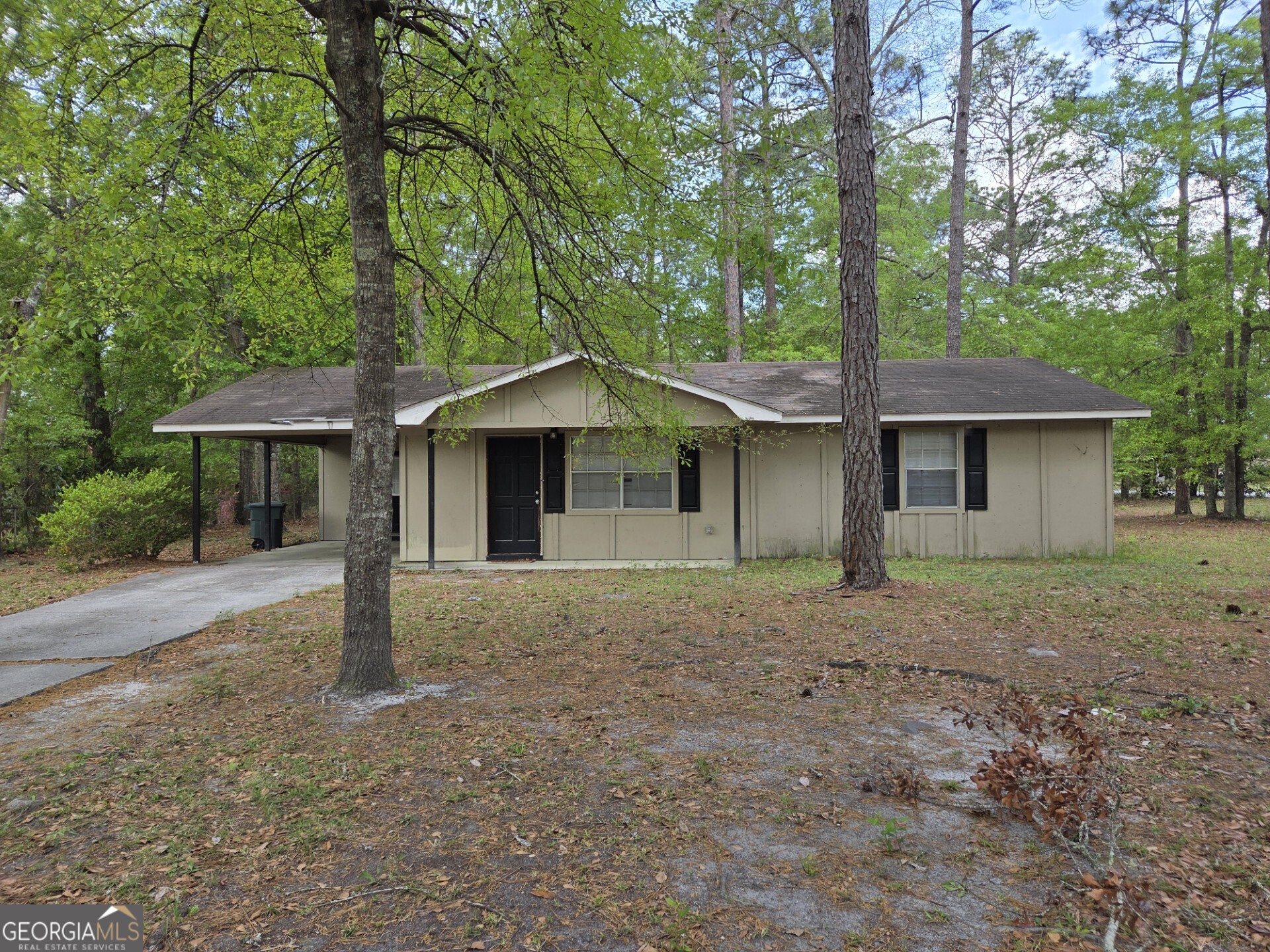 219 Surrey Road Property Photo 4