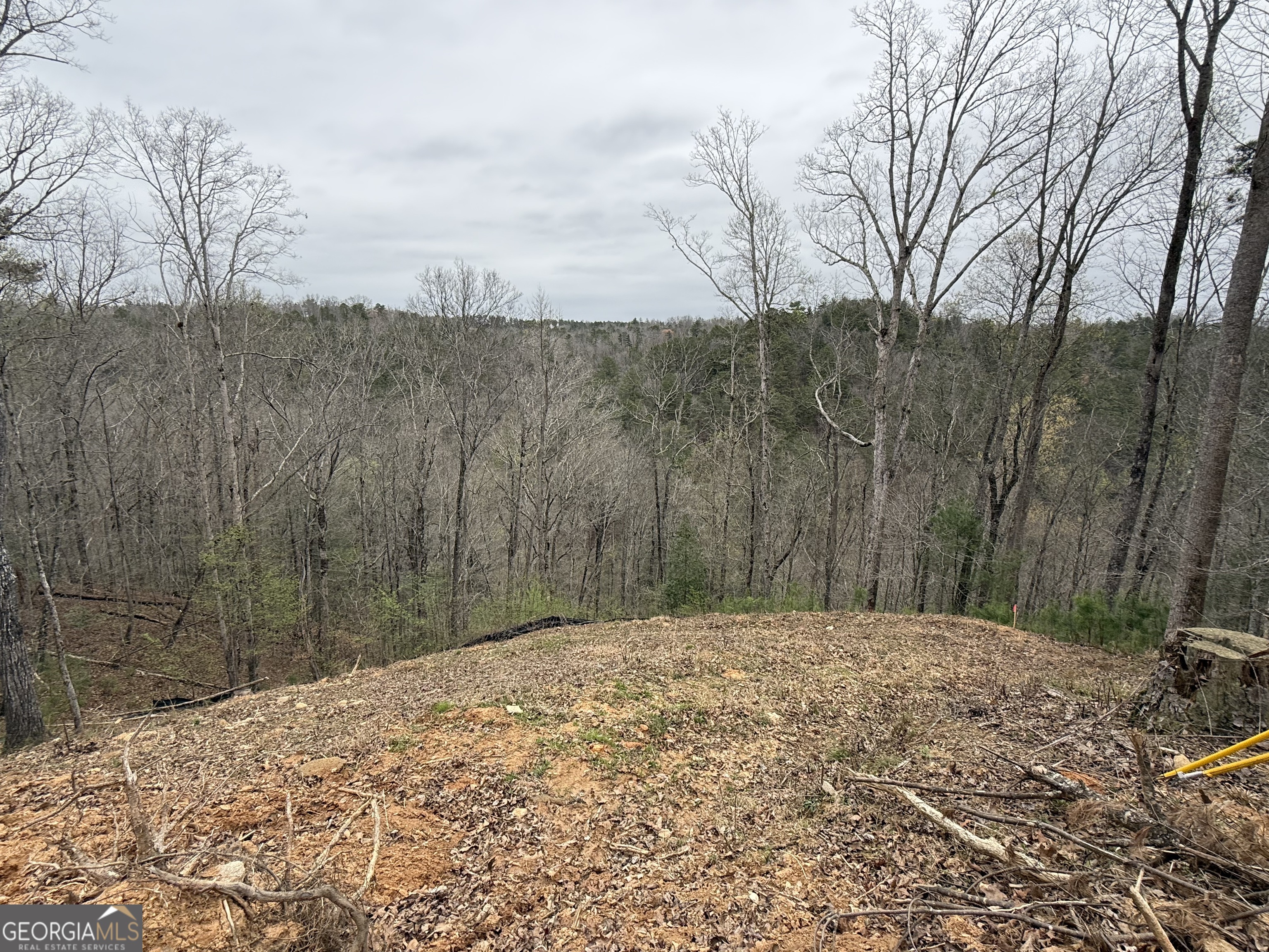 135 Flat Ridge Road Property Photo 3