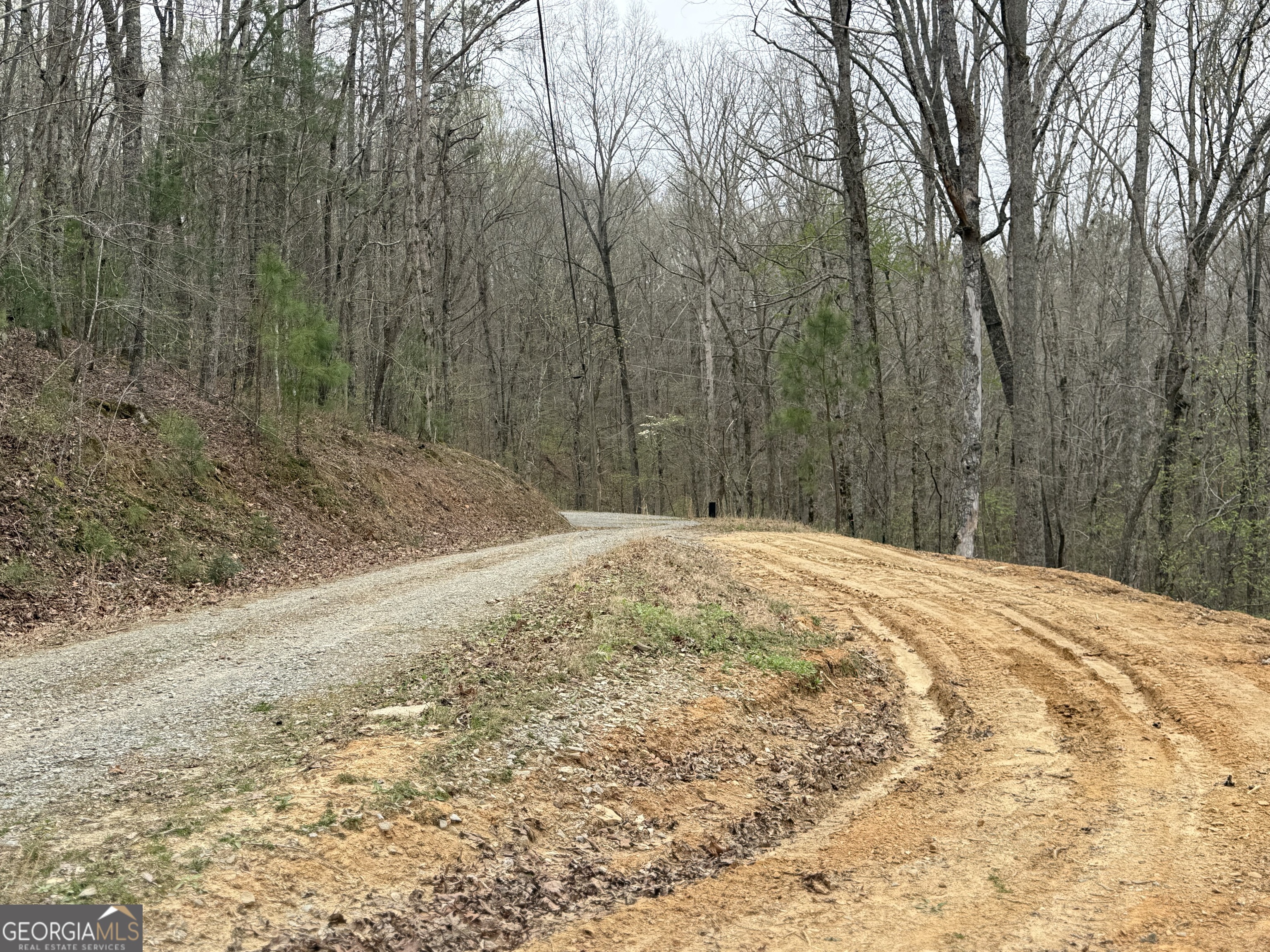 135 Flat Ridge Road Property Photo 4