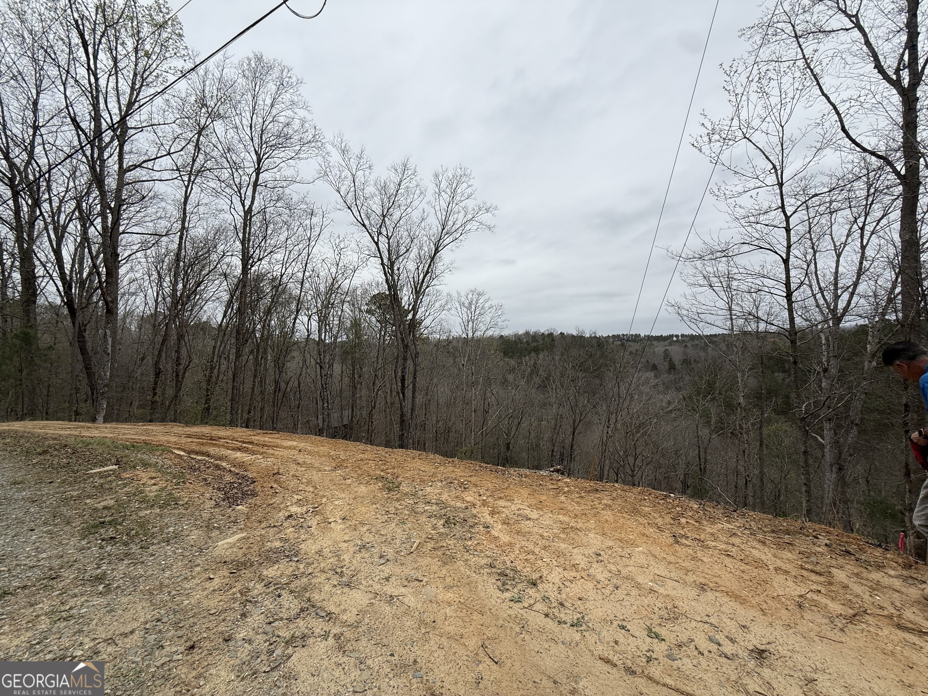 135 Flat Ridge Road Property Photo 5