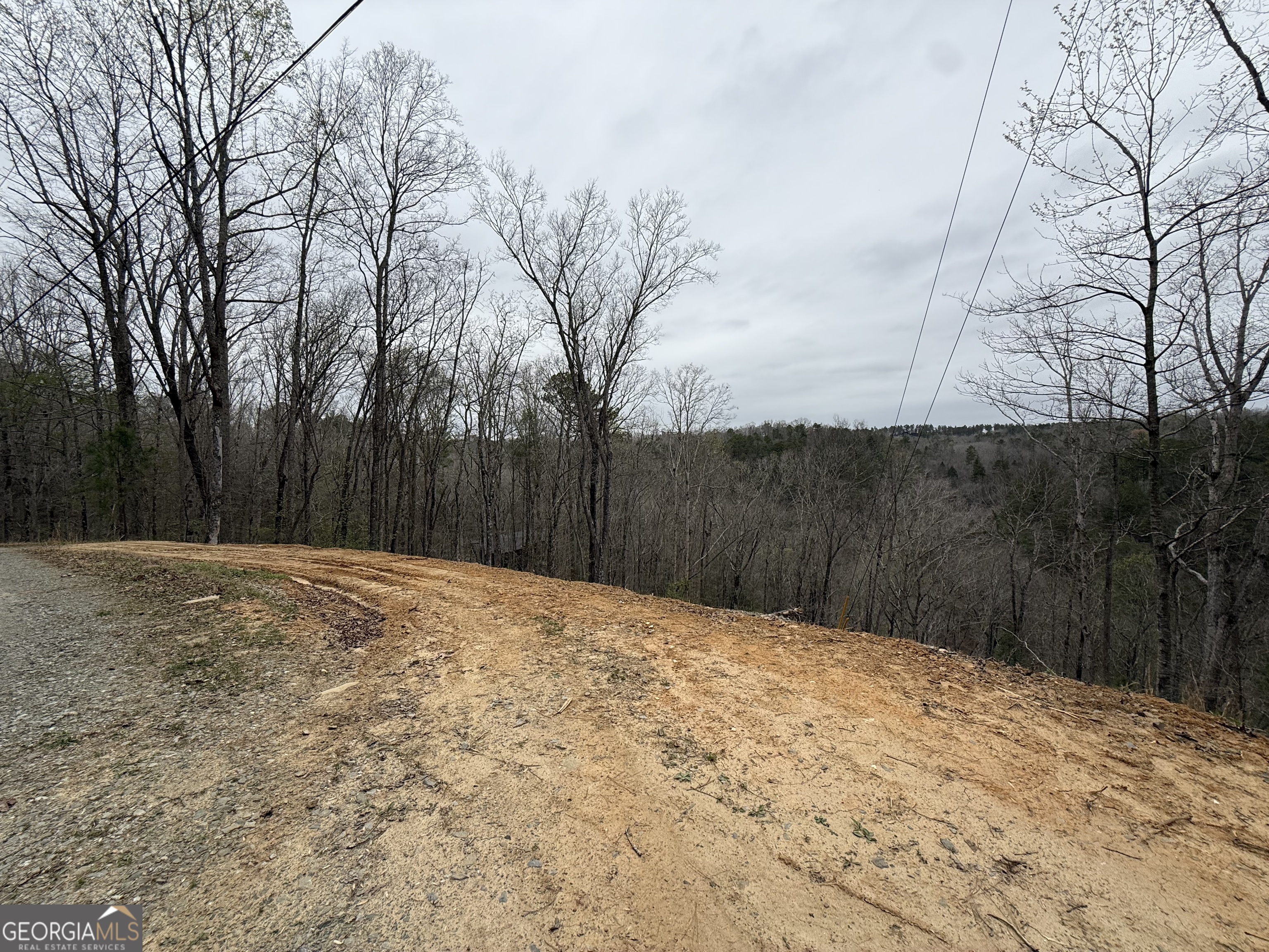 135 Flat Ridge Road Property Photo 6