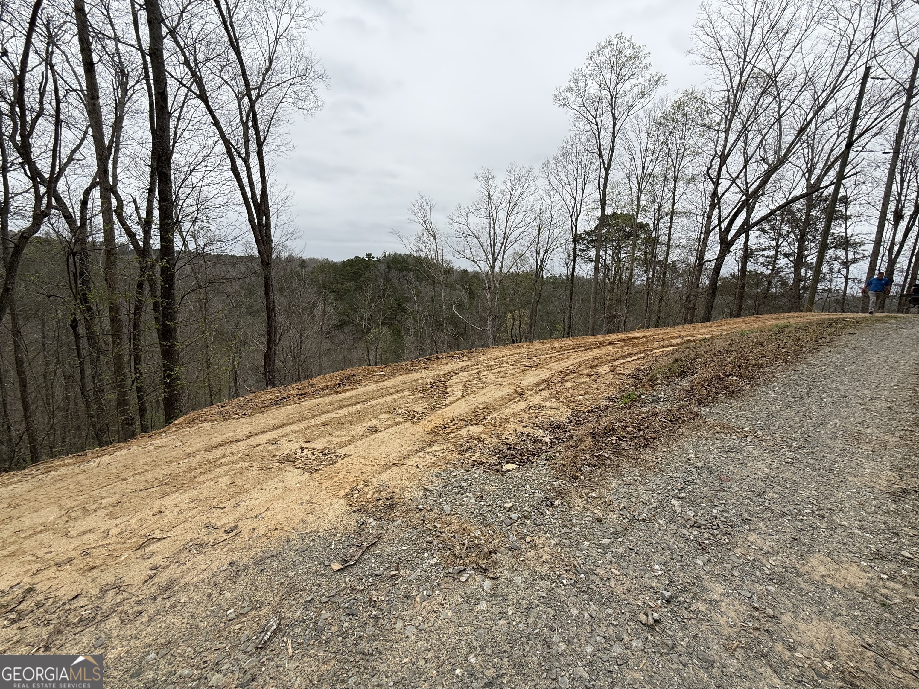 135 Flat Ridge Road Property Photo 7