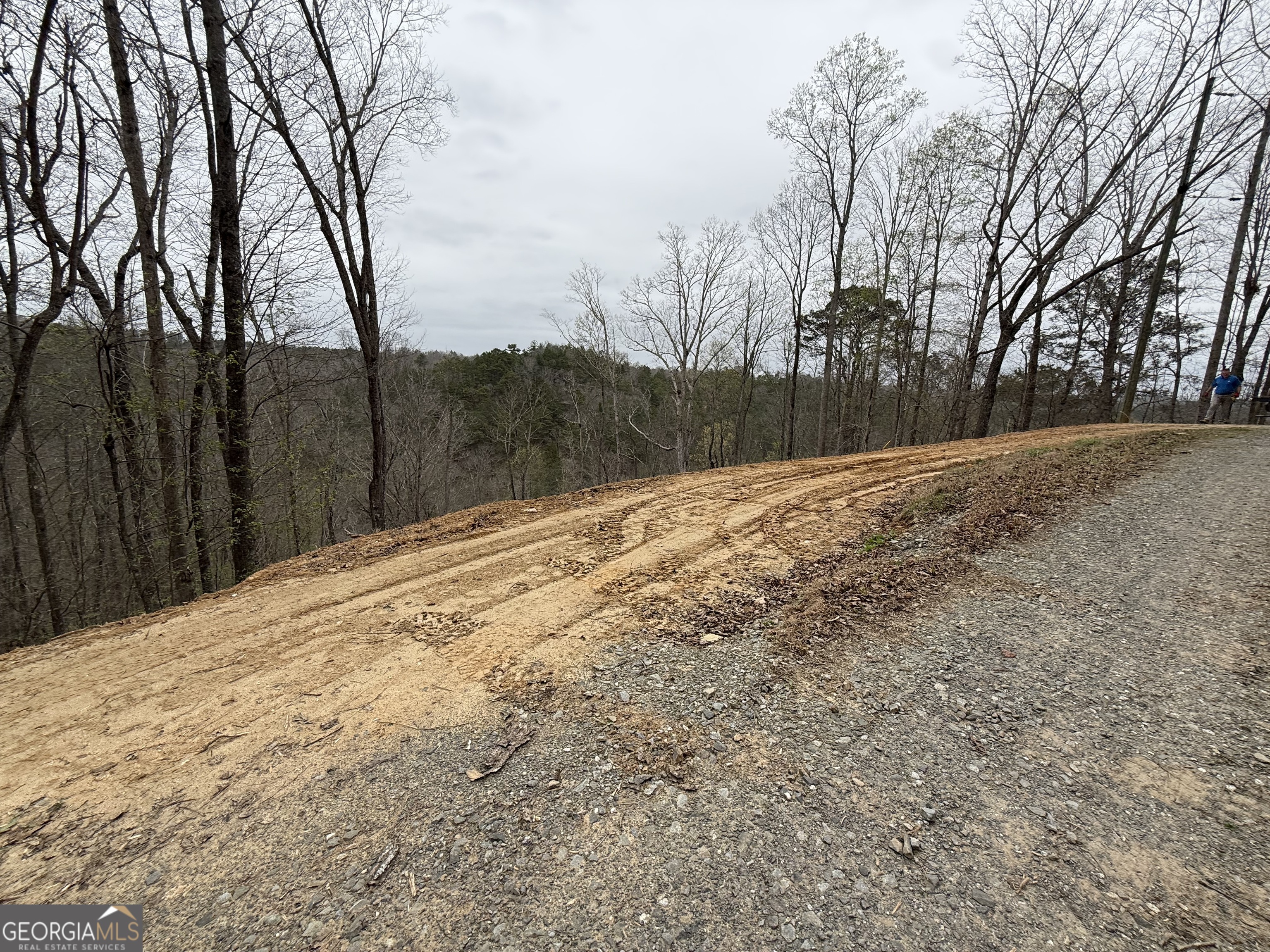135 Flat Ridge Road Property Photo 8