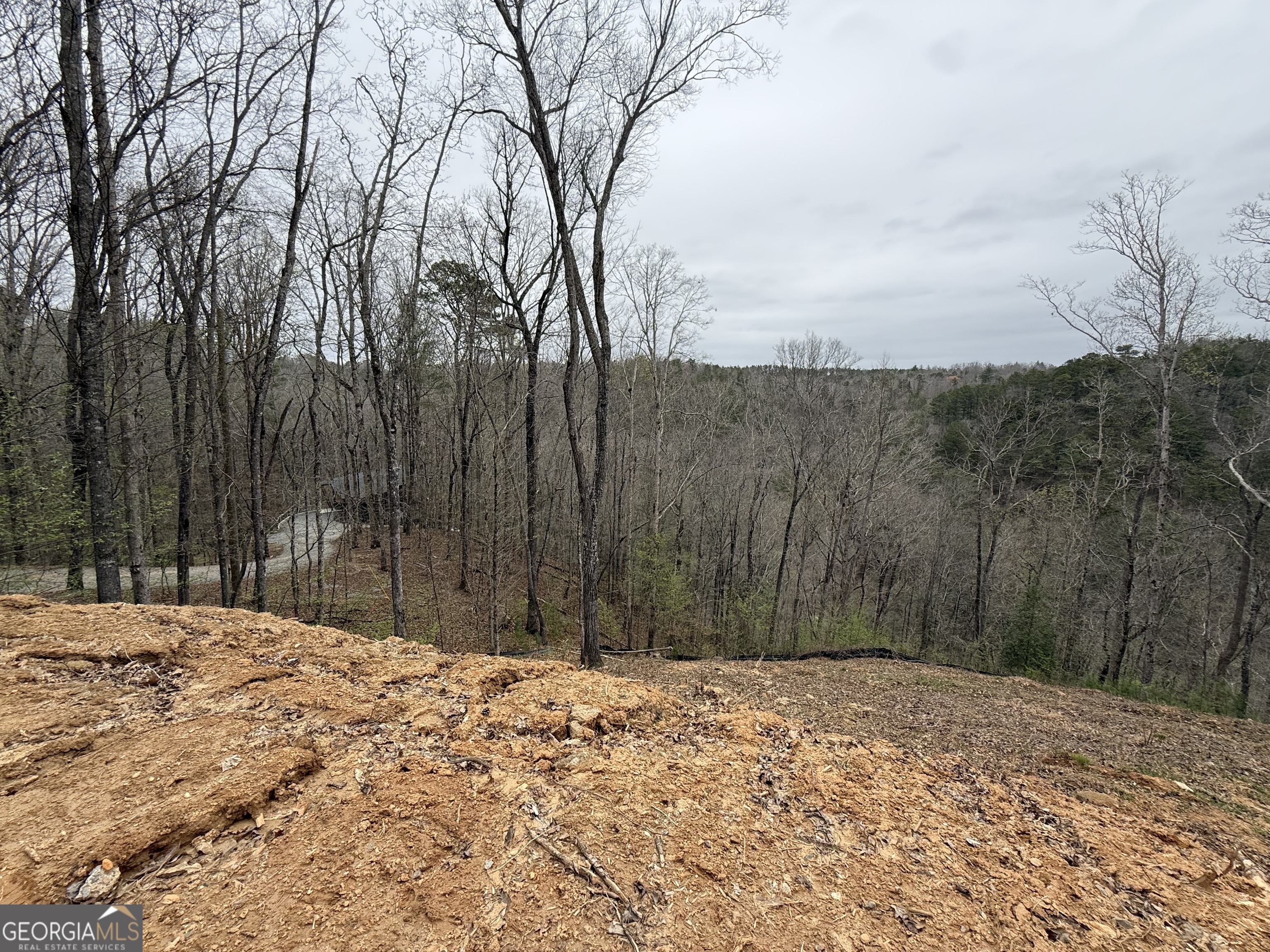 135 Flat Ridge Road Property Photo 10