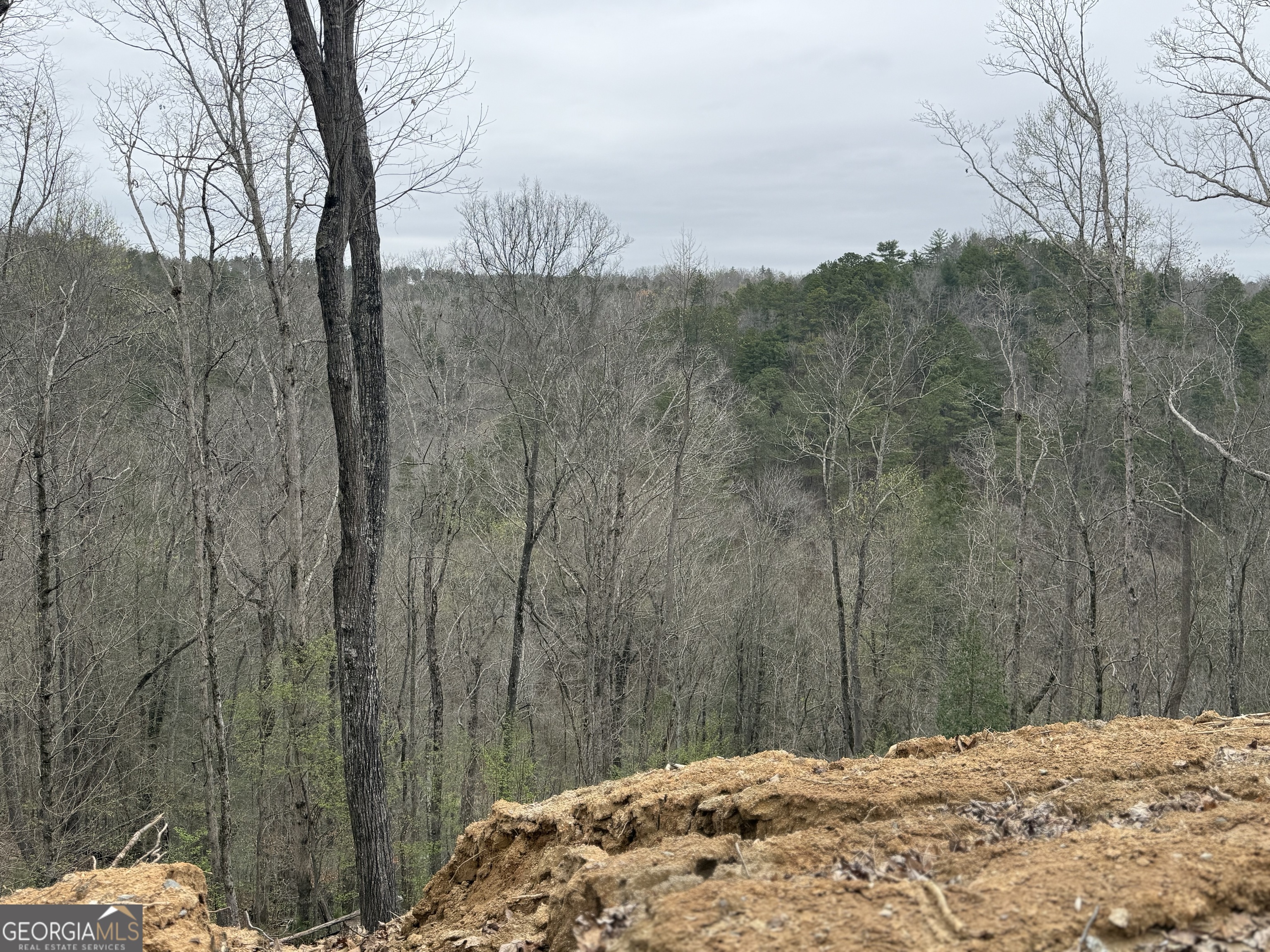 135 Flat Ridge Road Property Photo 11