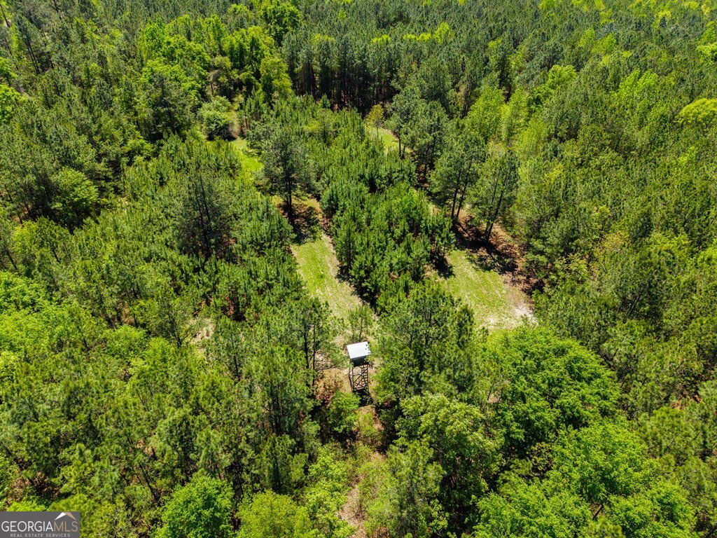 0 Wainwright Road Property Photo 5