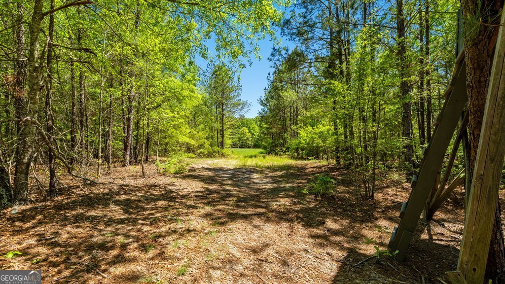 0 Wainwright Road Property Photo 12