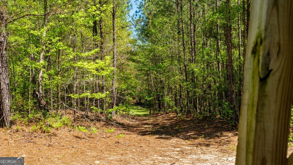 0 Wainwright Road Property Photo 18