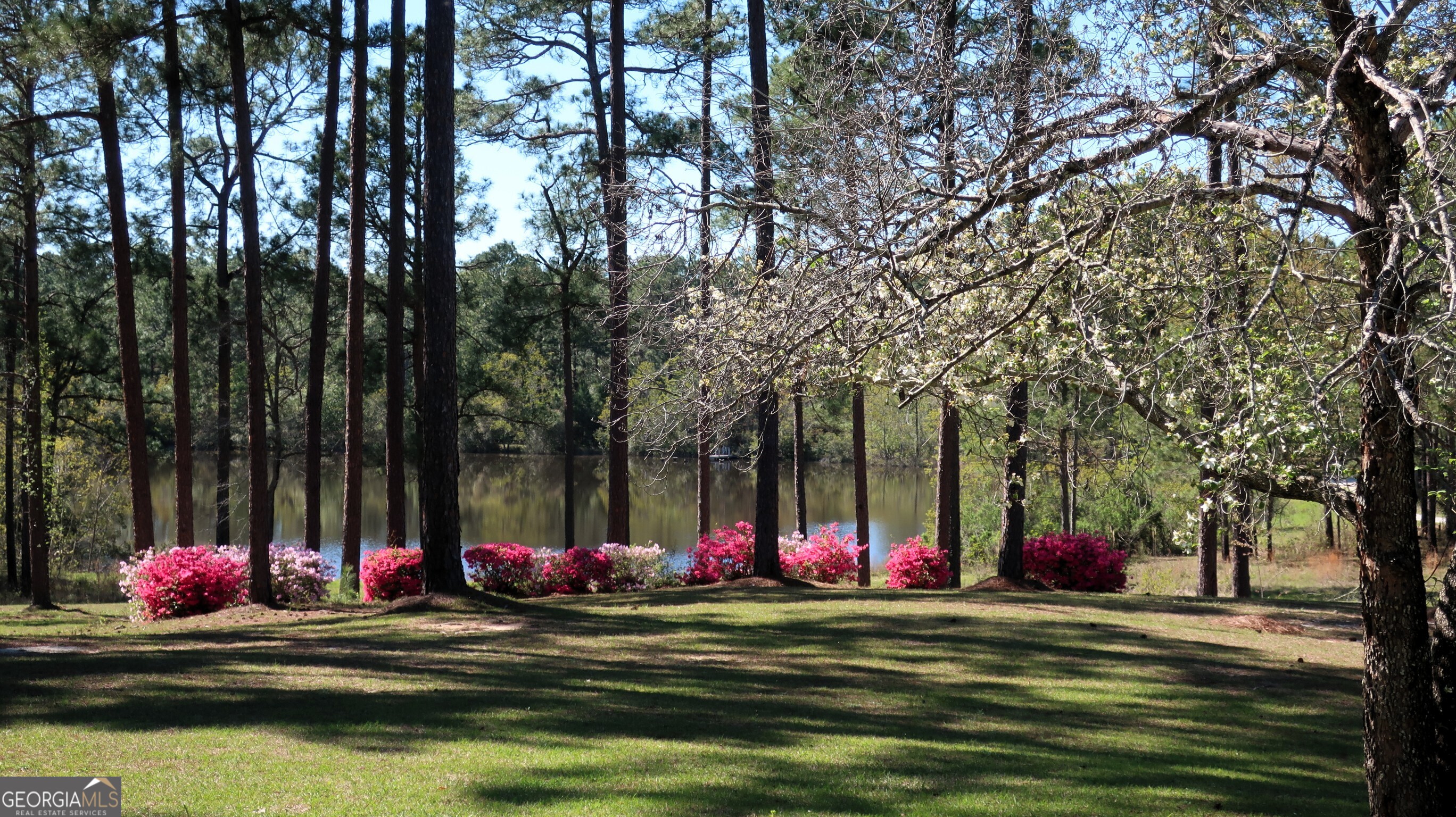1146 Highway 56 Property Photo 11