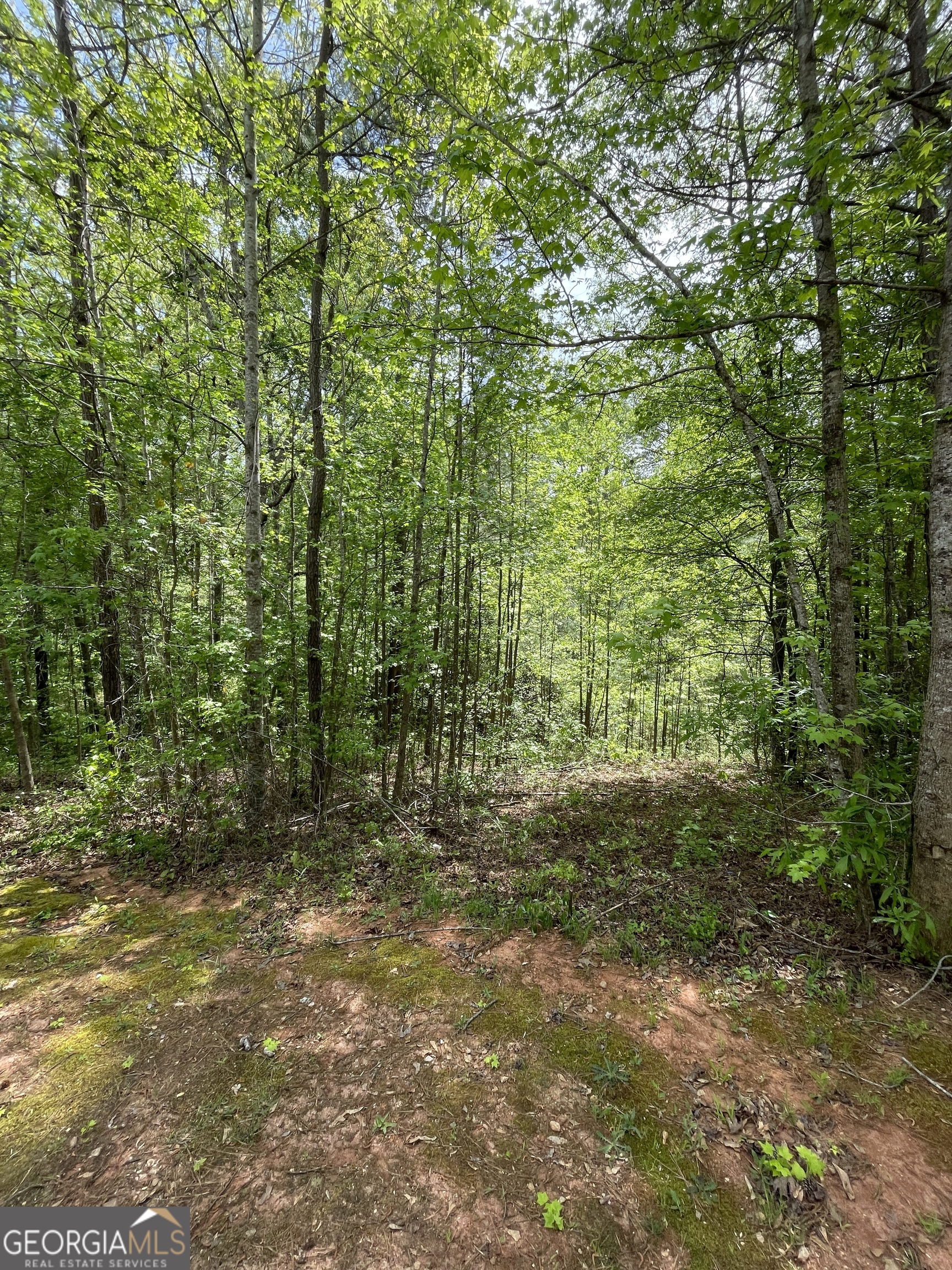 205 White Birch Drive Property Photo 1