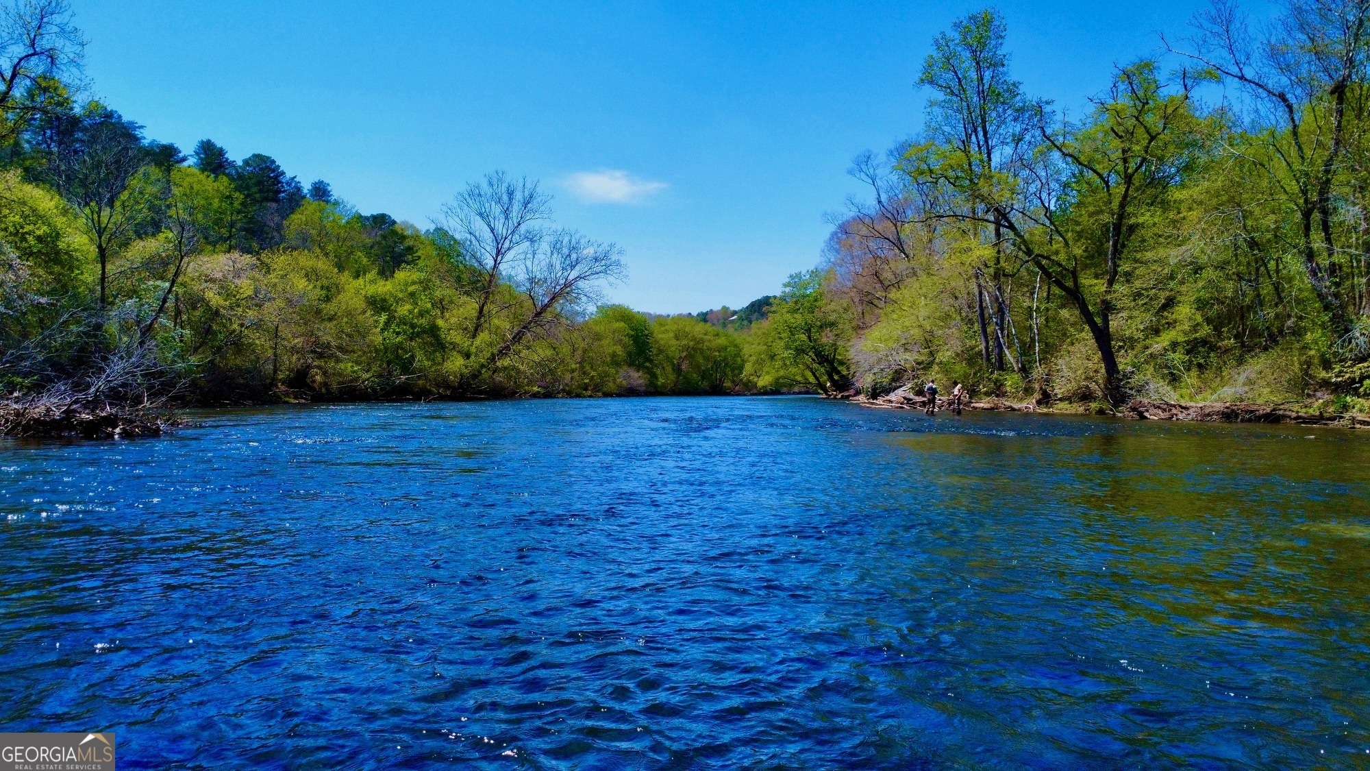 0 Toccoa River Forest Property Photo 1