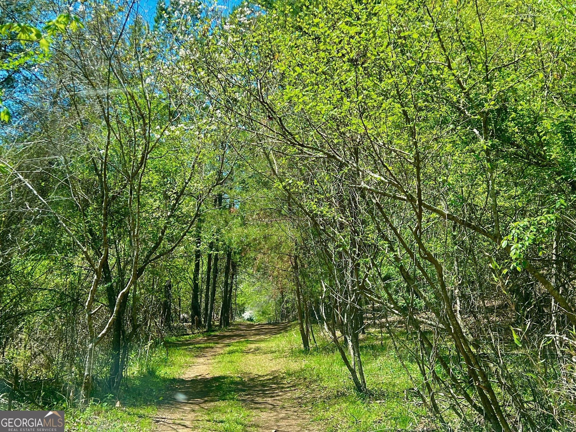 0 Toccoa River Forest Property Photo 2