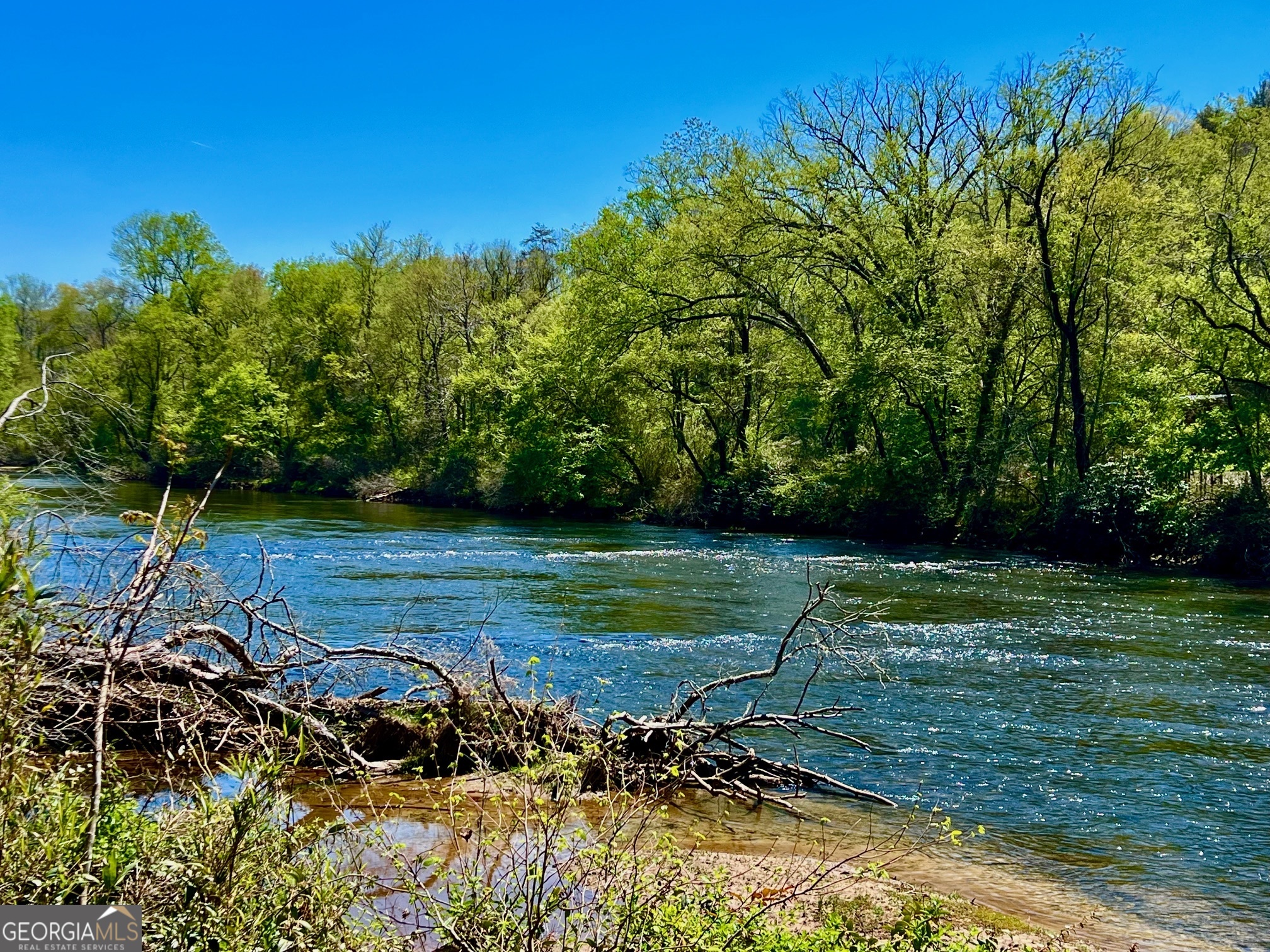 0 Toccoa River Forest Property Photo 3
