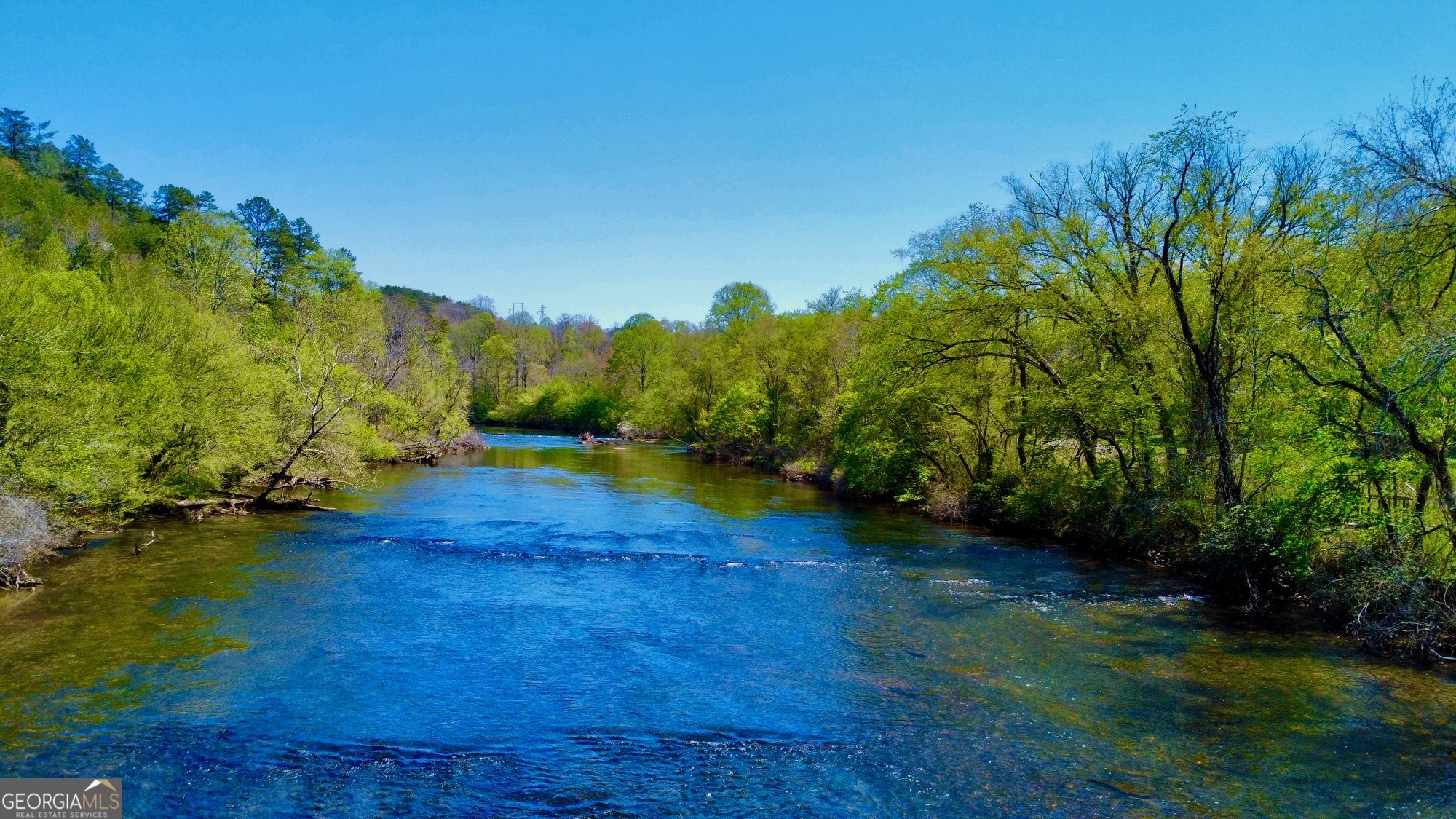 0 Toccoa River Forest Property Photo 4