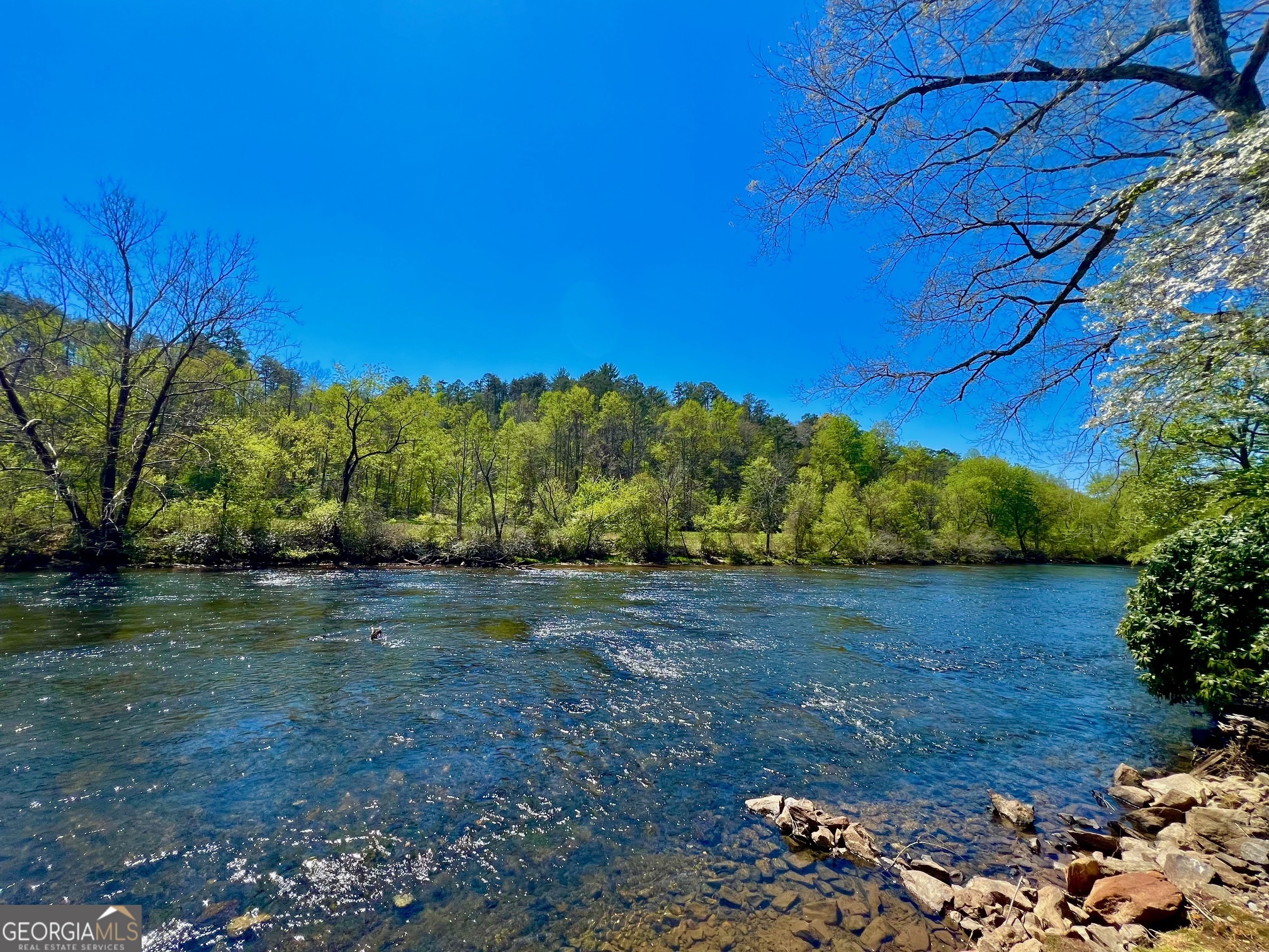 0 Toccoa River Forest Property Photo 5