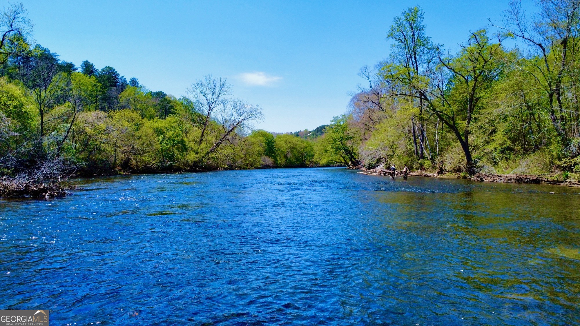 0 Toccoa River Forest Property Photo 6