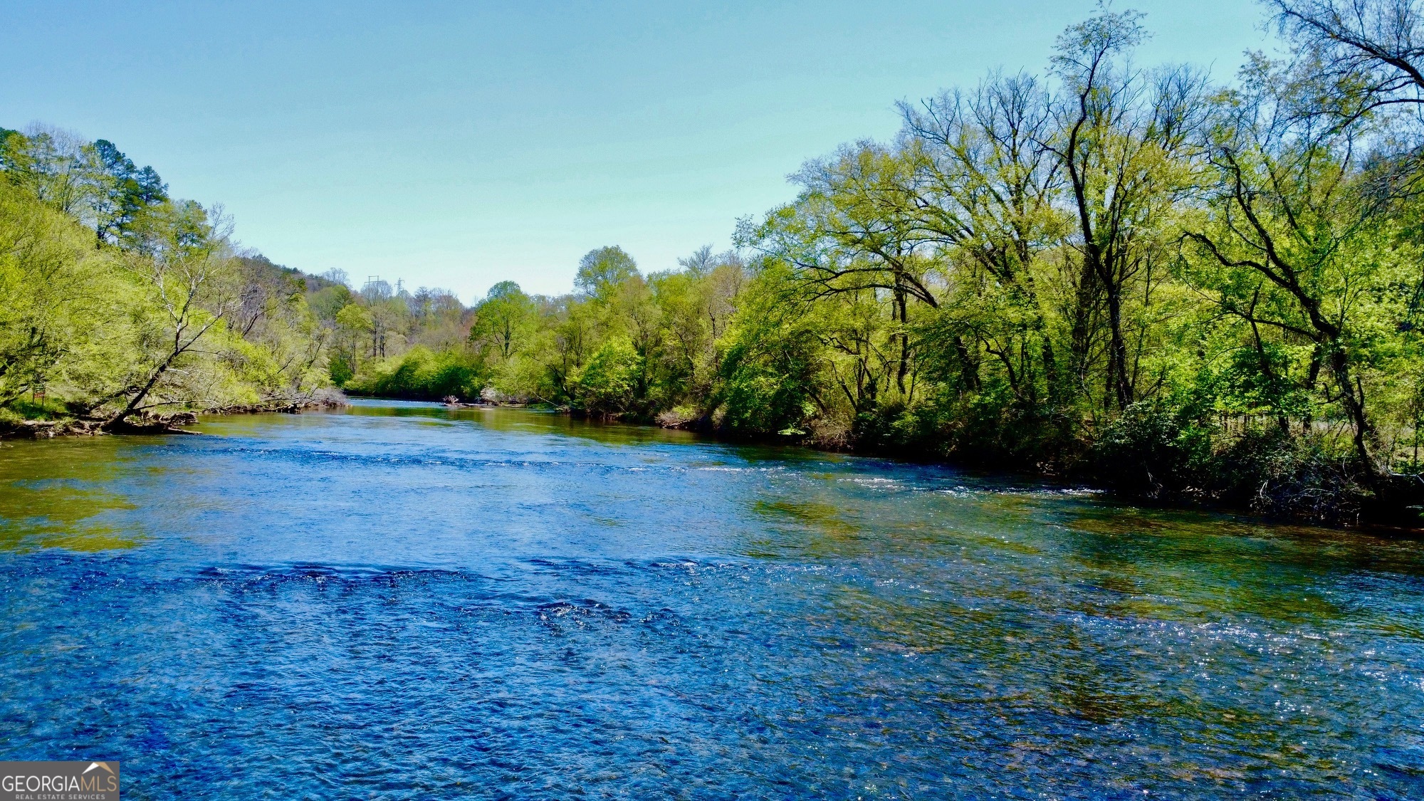 0 Toccoa River Forest Property Photo 7