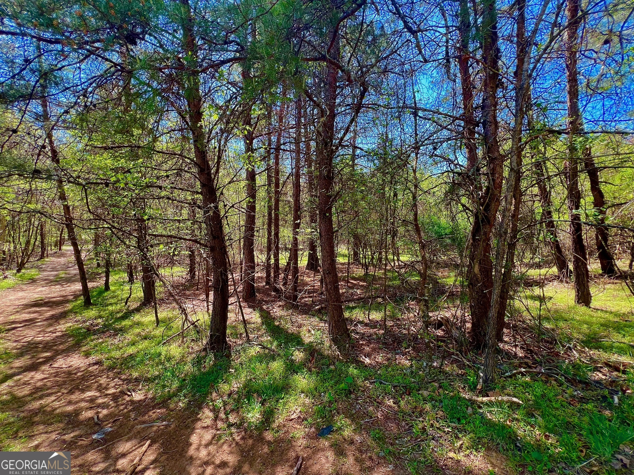 0 Toccoa River Forest Property Photo 9