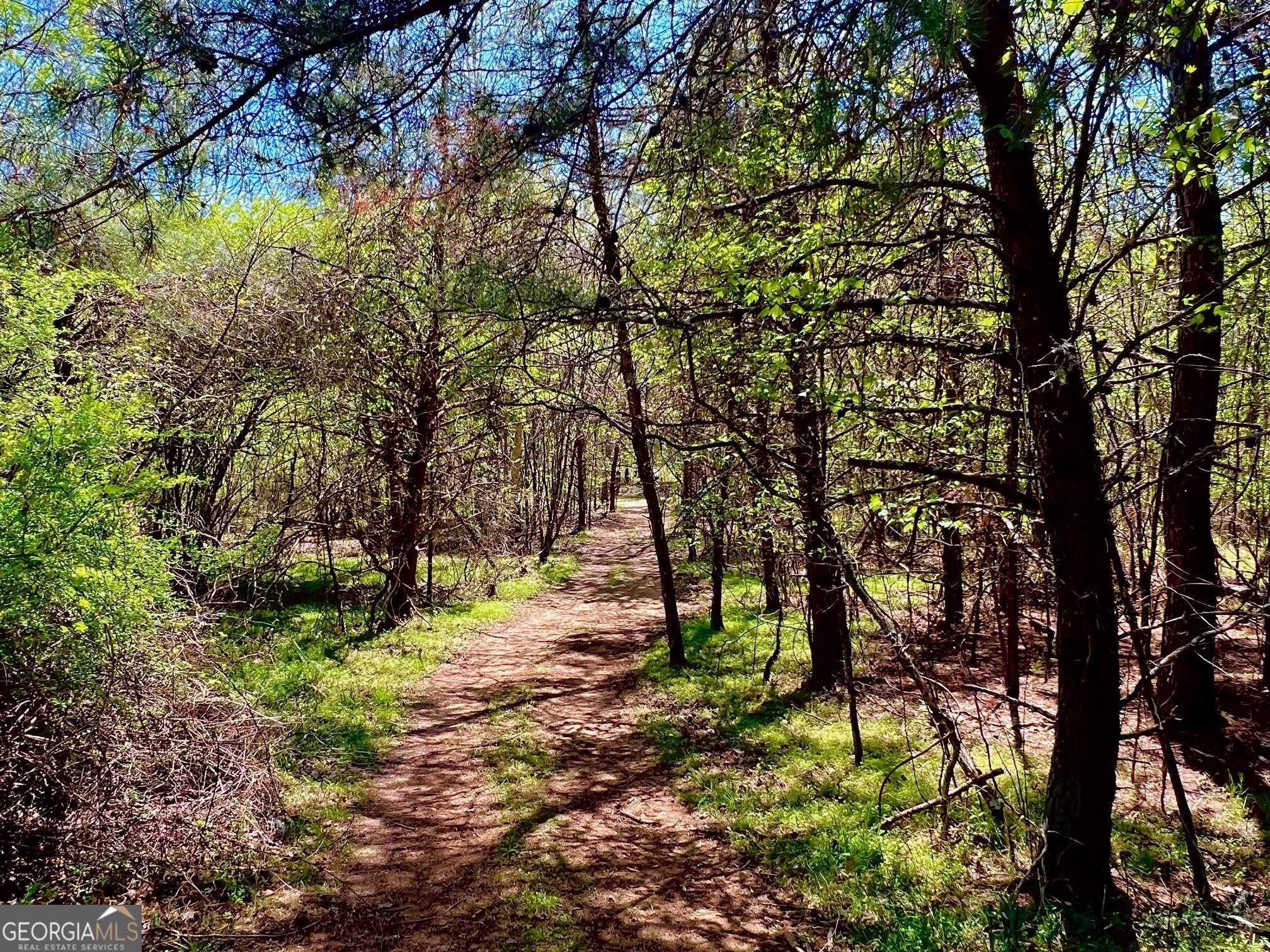 0 Toccoa River Forest Property Photo 10