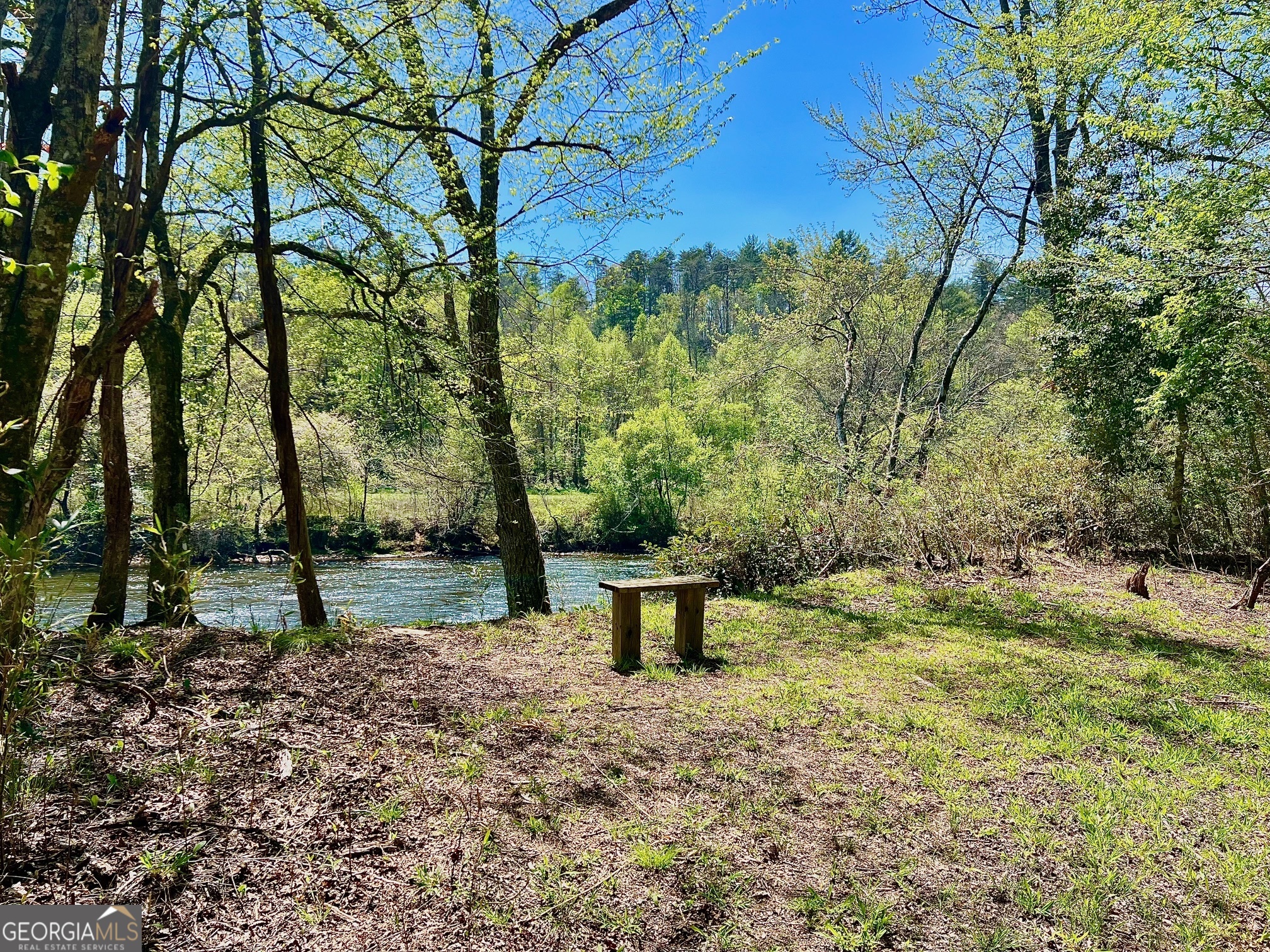 0 Toccoa River Forest Property Photo 11