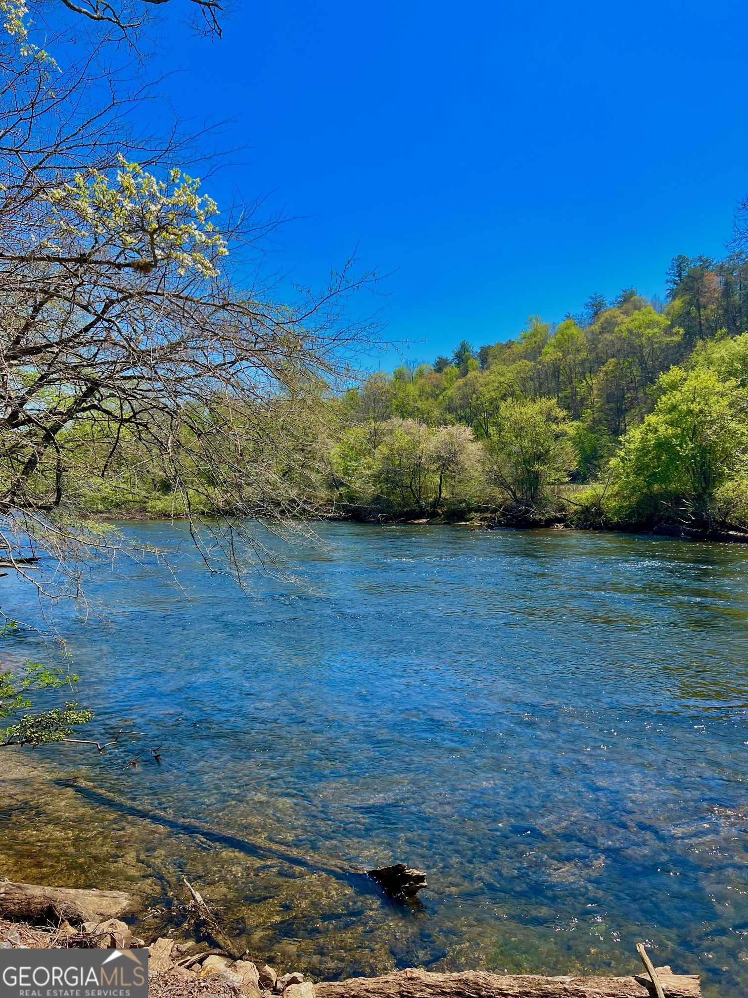 0 Toccoa River Forest Property Photo 13