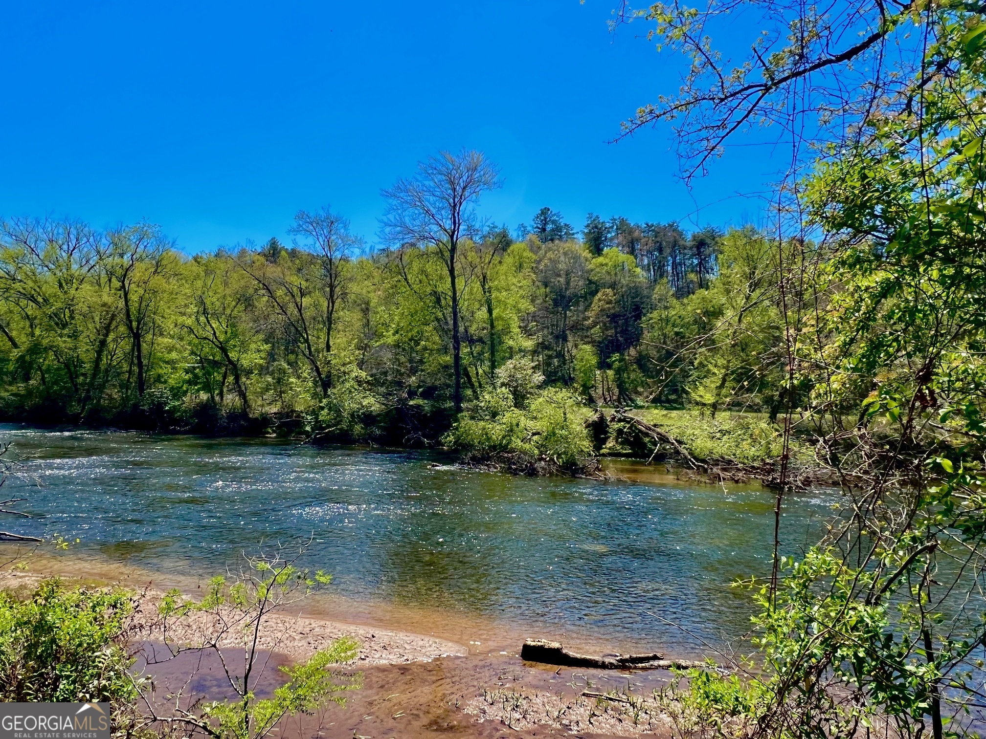 0 Toccoa River Forest Property Photo 14