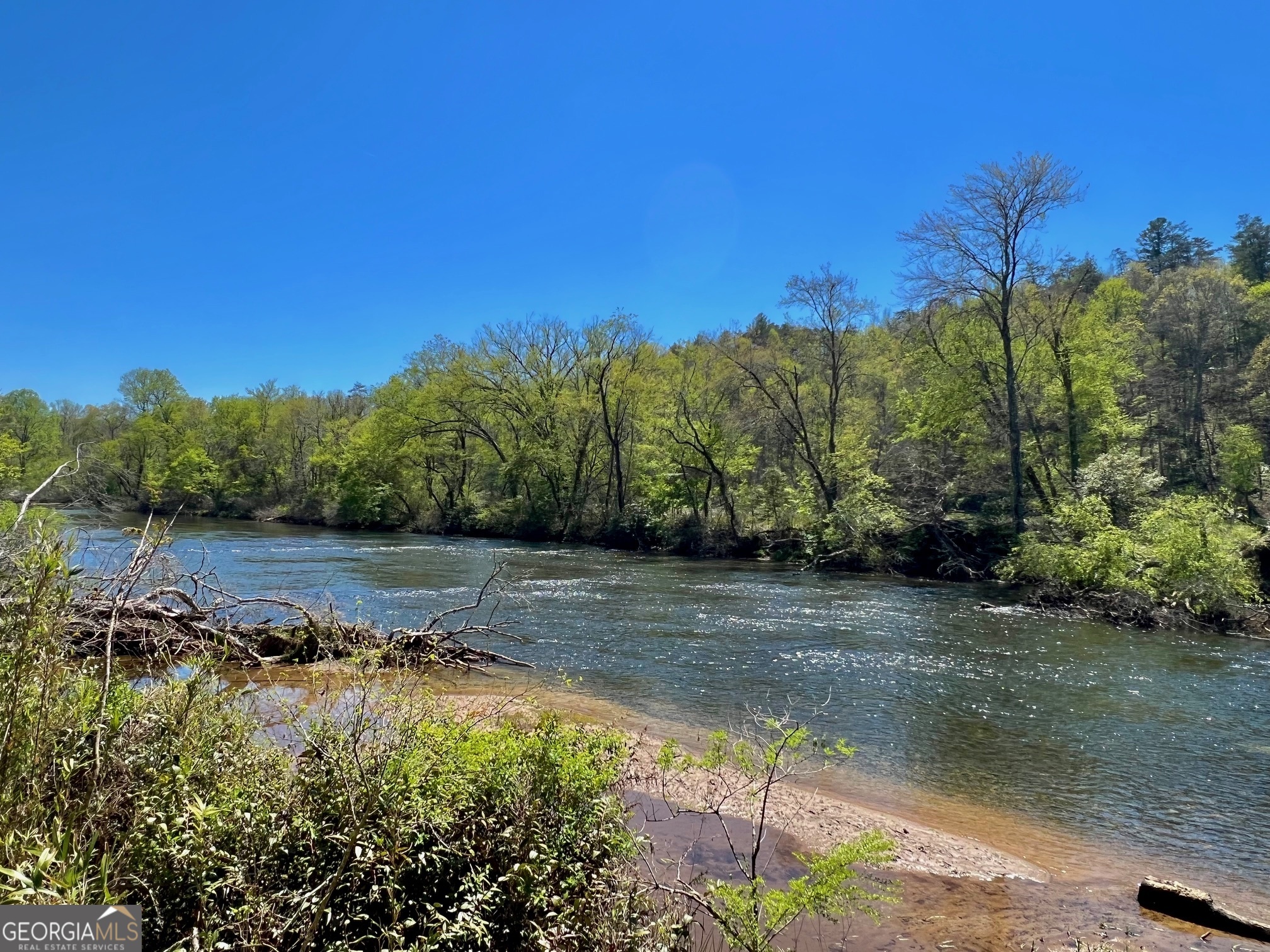 0 Toccoa River Forest Property Photo 15