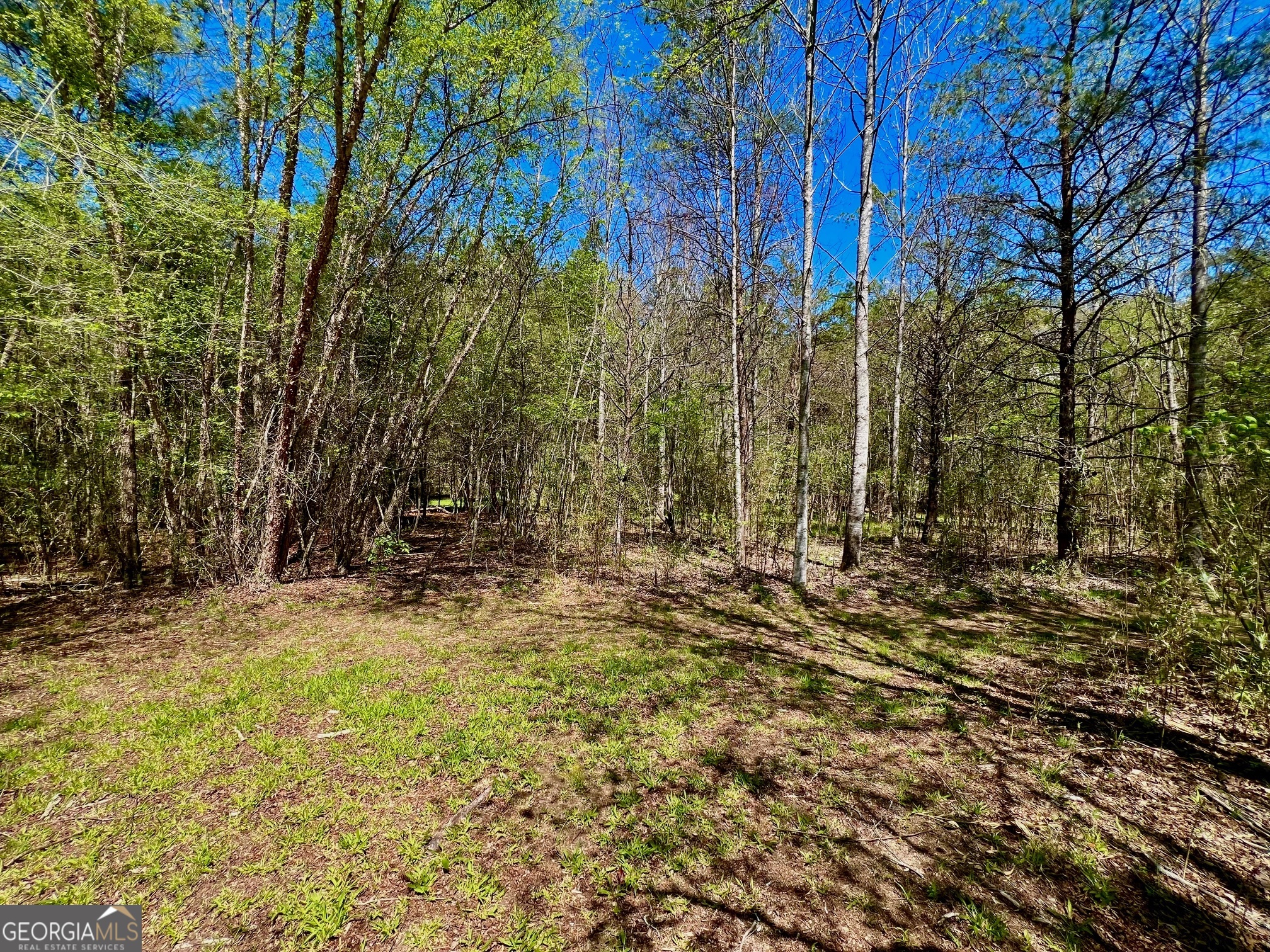 0 Toccoa River Forest Property Photo 16