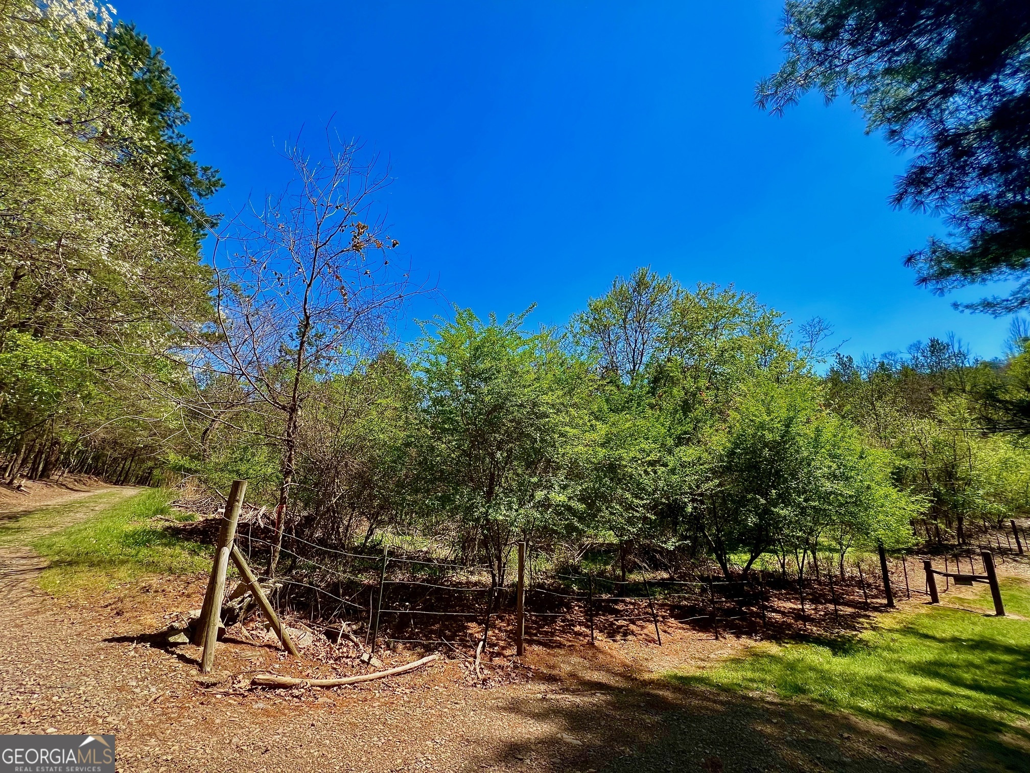 0 Toccoa River Forest Property Photo 18
