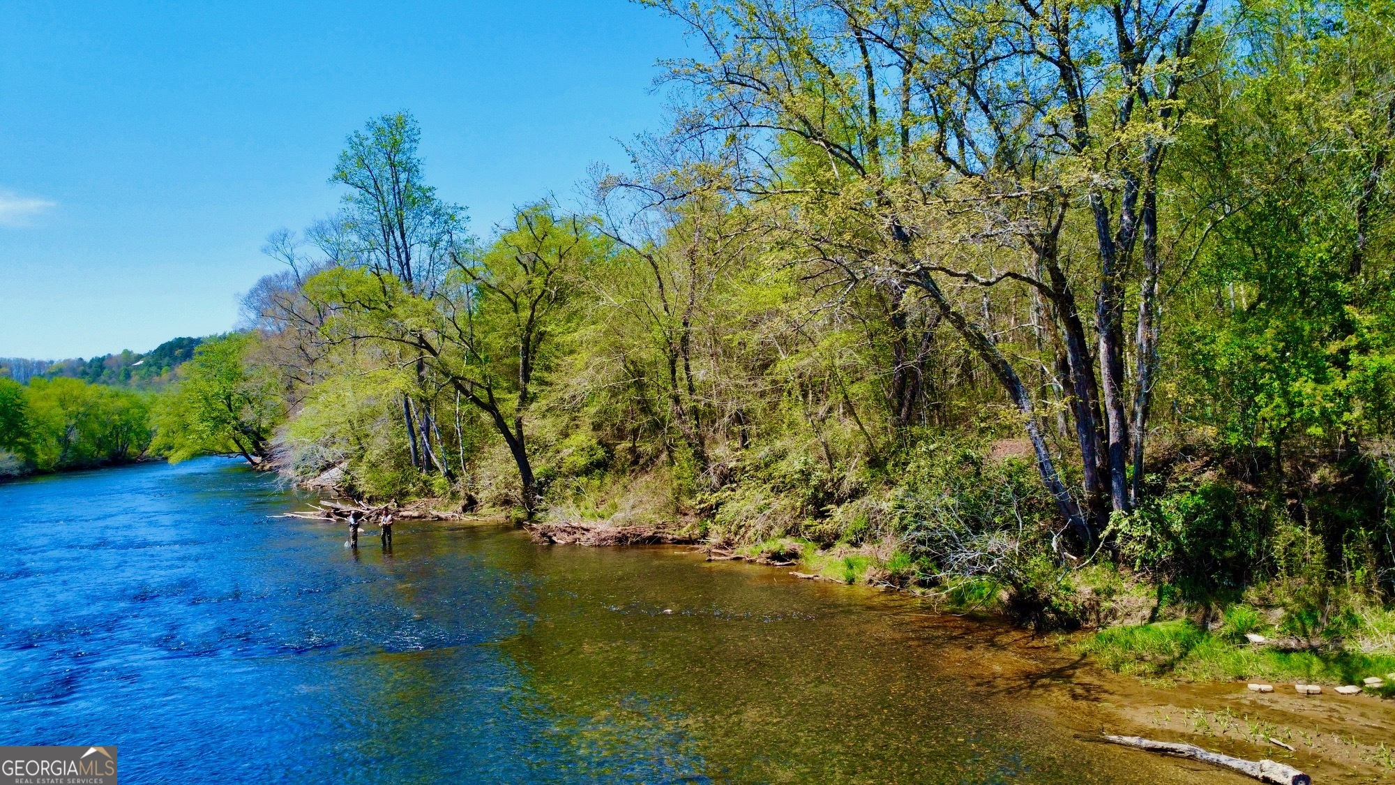 0 Toccoa River Forest Property Photo 20