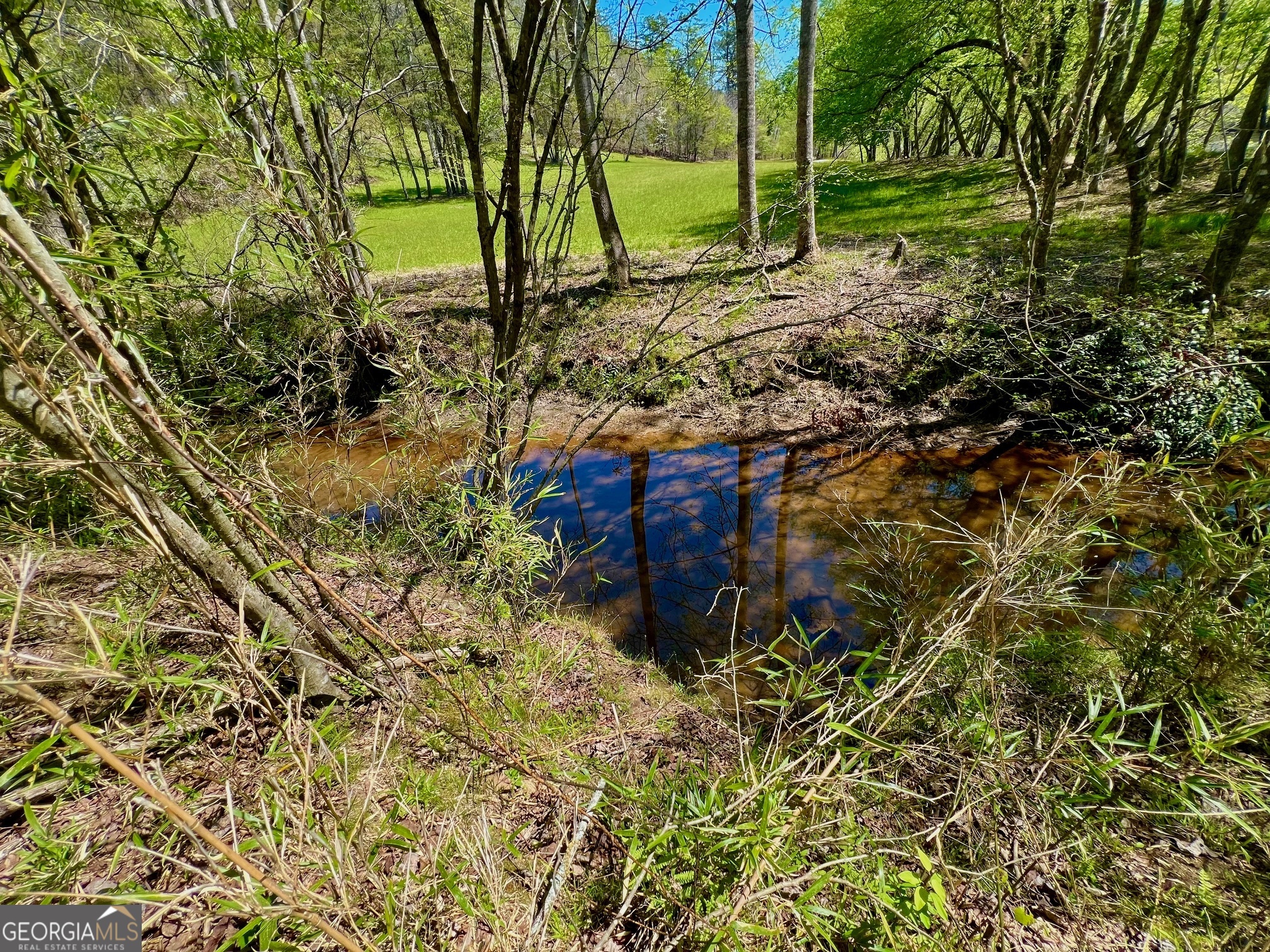 0 Toccoa River Forest Property Photo 21