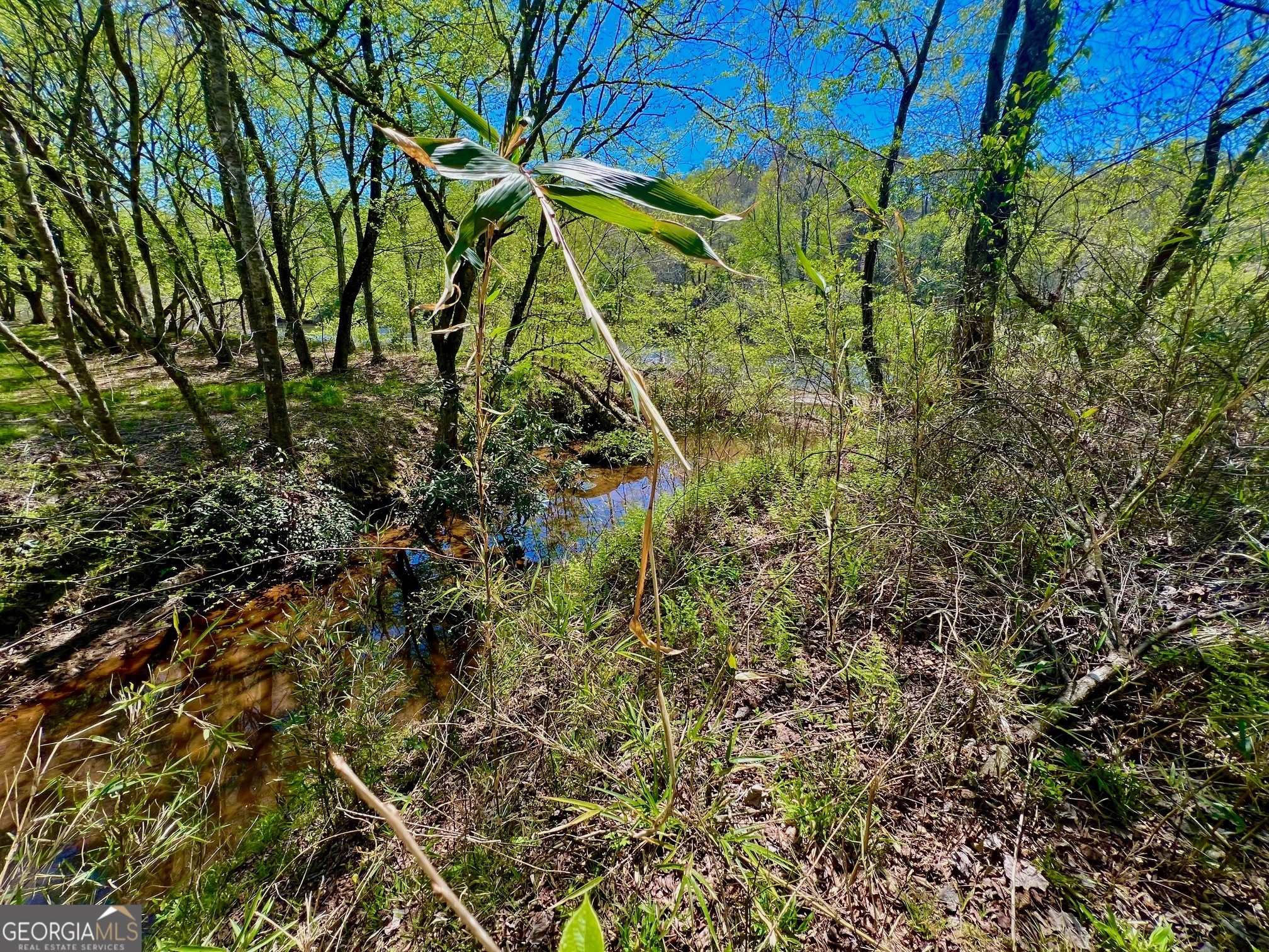 0 Toccoa River Forest Property Photo 22