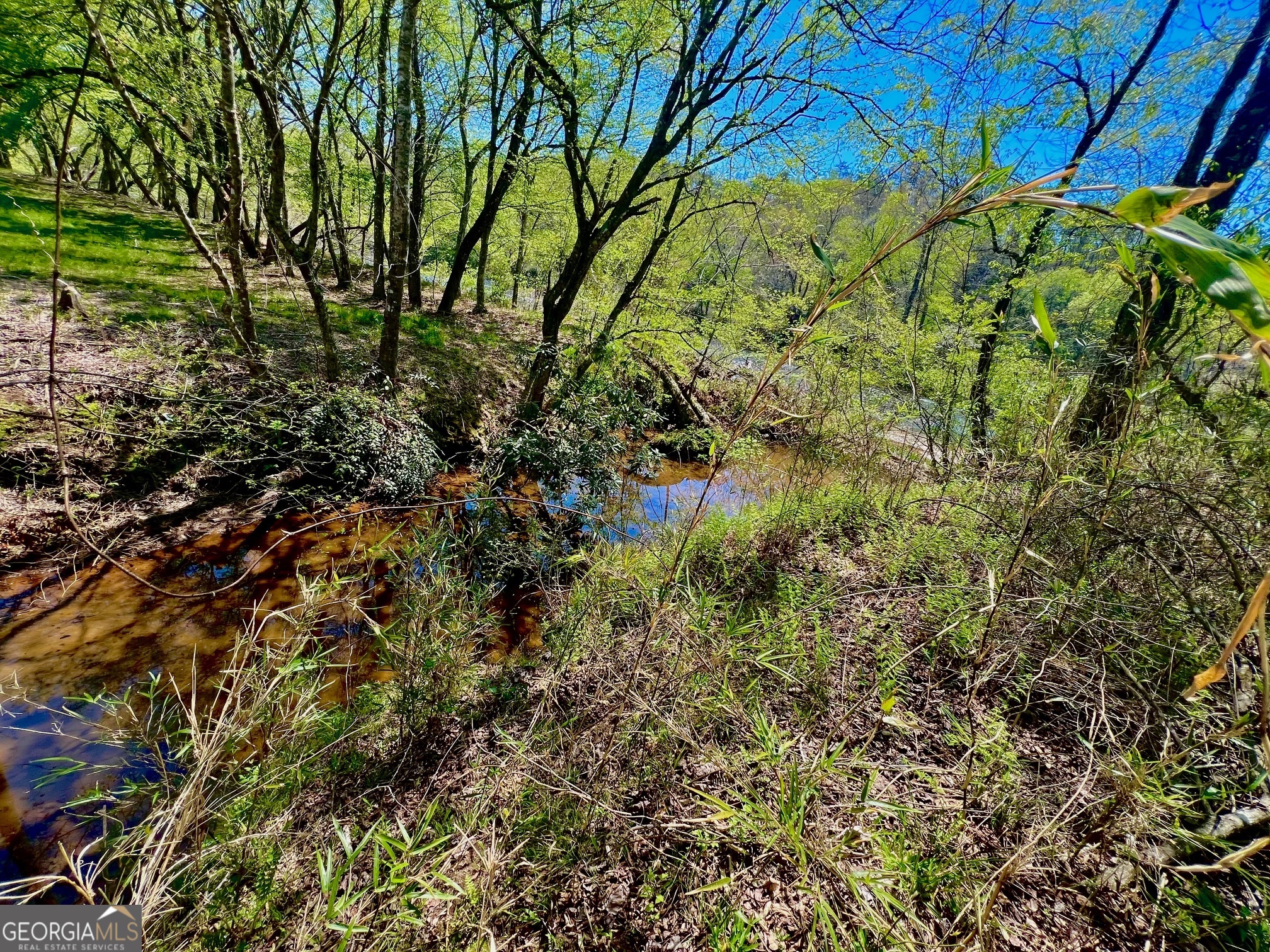 0 Toccoa River Forest Property Photo 23