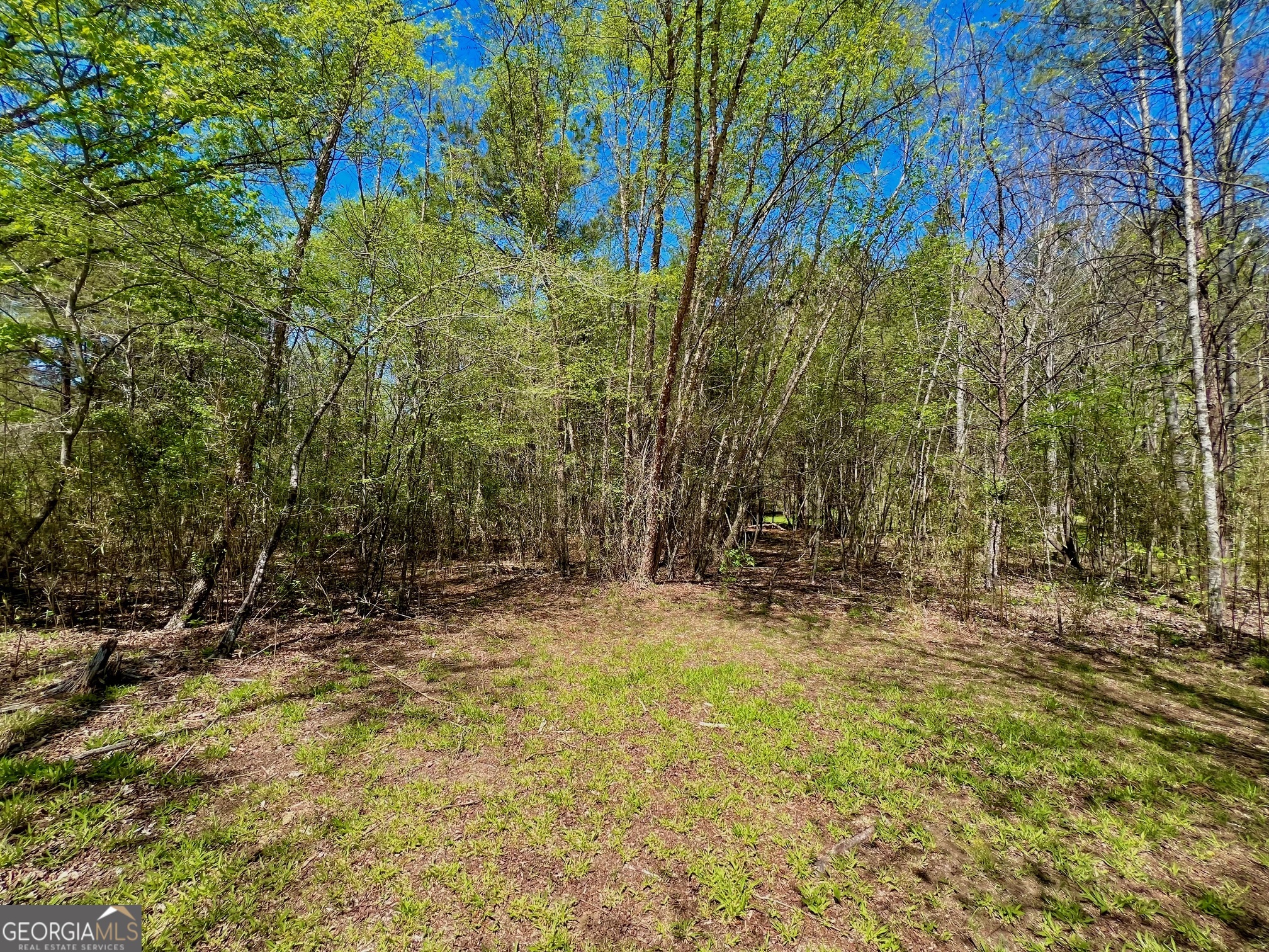 0 Toccoa River Forest Property Photo 24