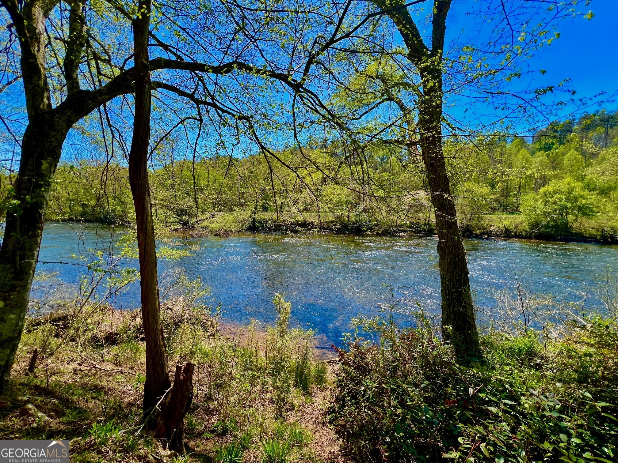 0 Toccoa River Forest Property Photo 25