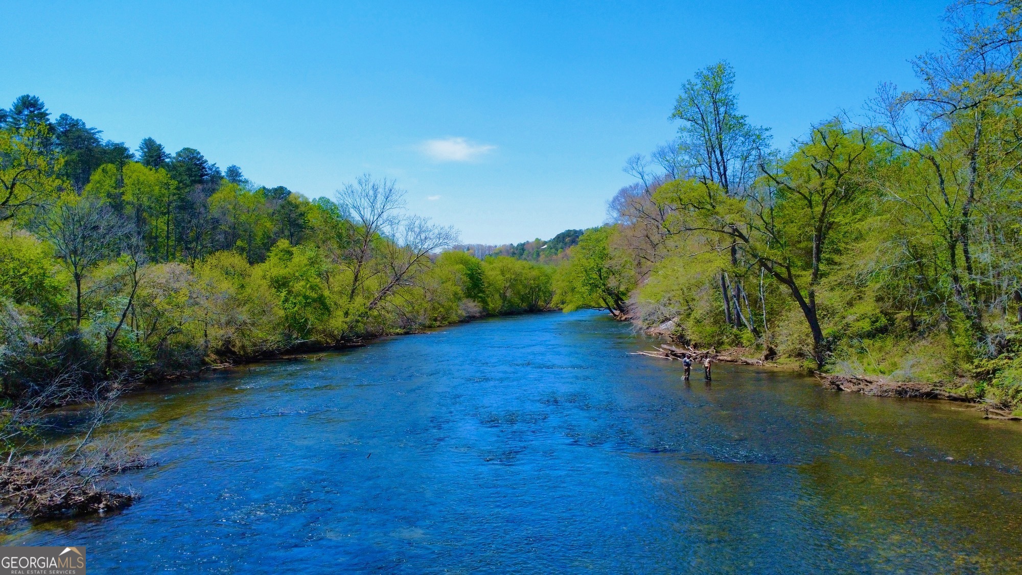 0 Toccoa River Forest Property Photo 26