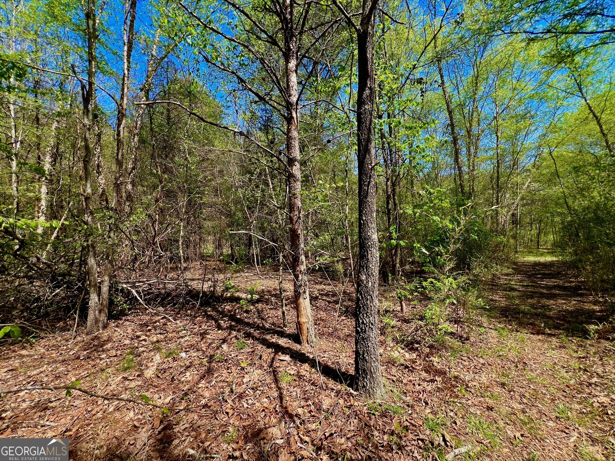 0 Toccoa River Forest Property Photo 27