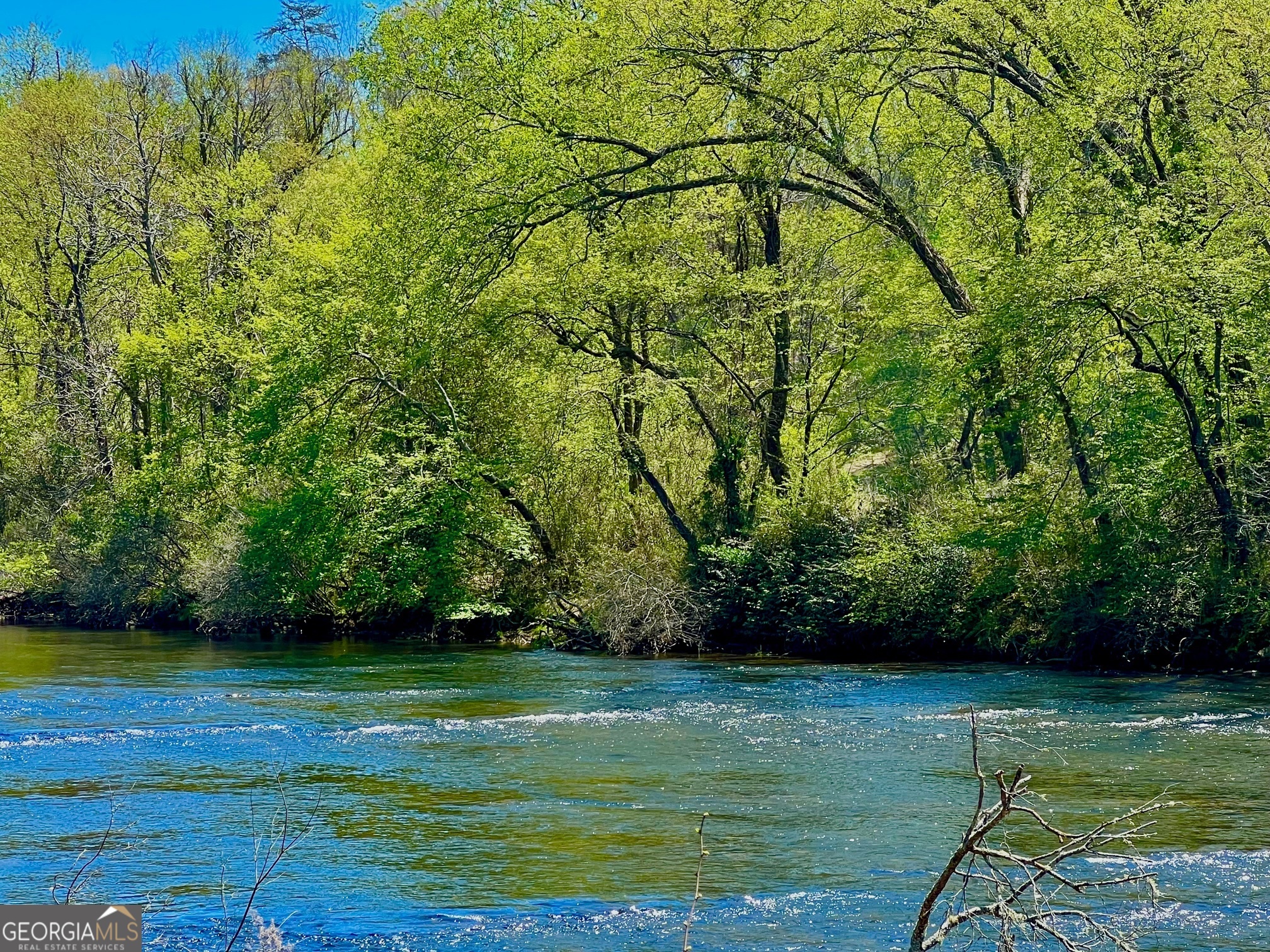 0 Toccoa River Forest Property Photo 28