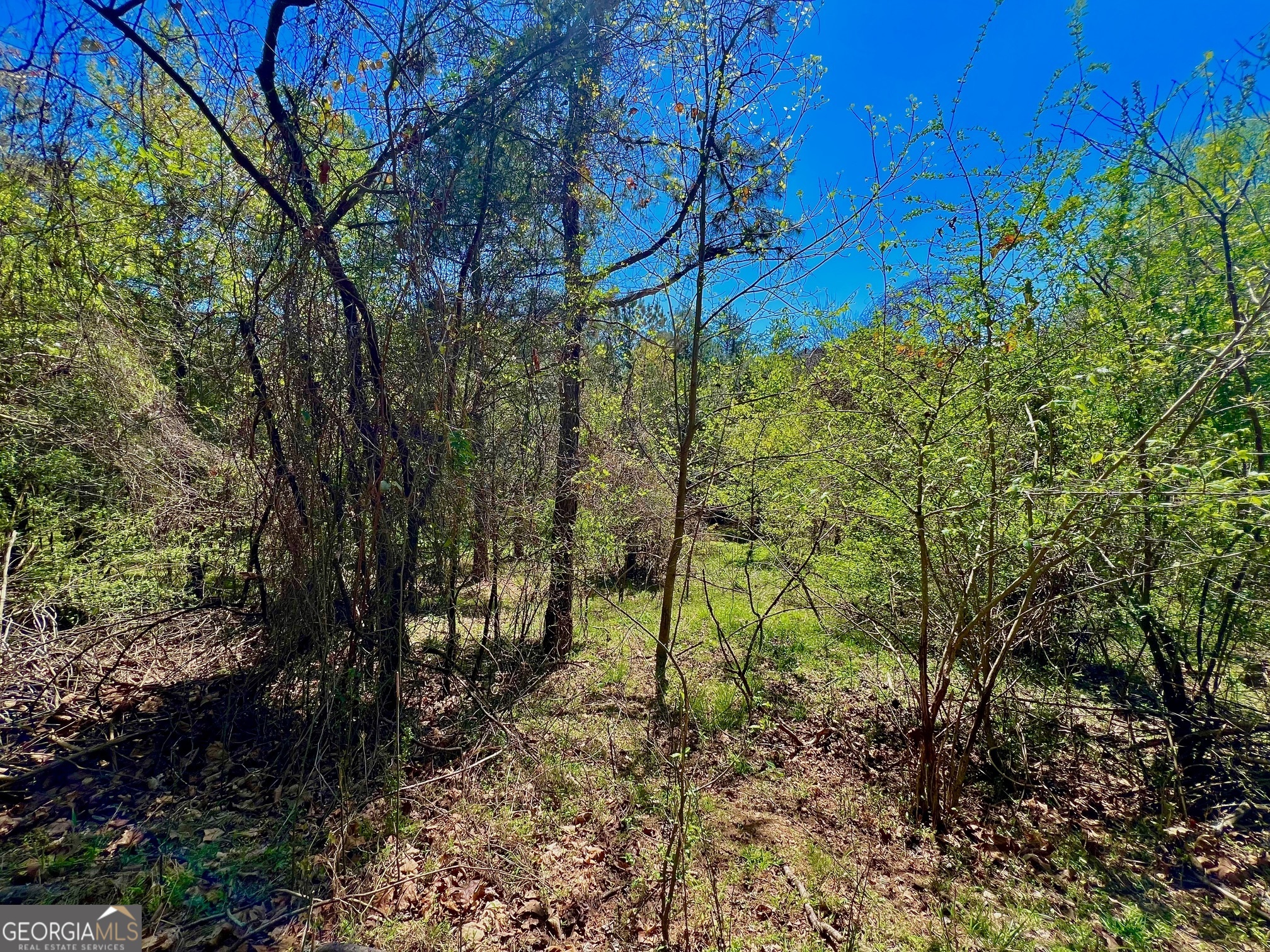 0 Toccoa River Forest Property Photo 29