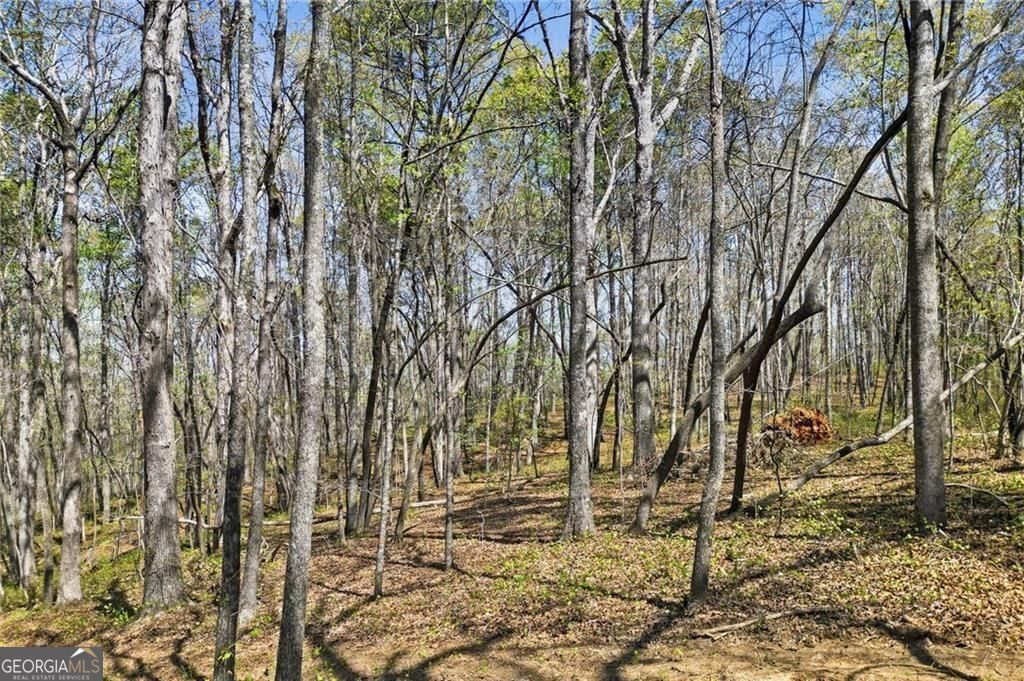 109 Heritage Plantation Drive Property Photo 7