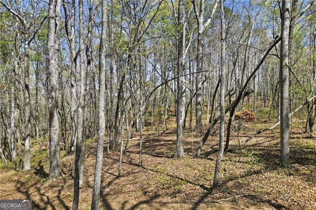117 Heritage Plantation Drive Property Photo 1