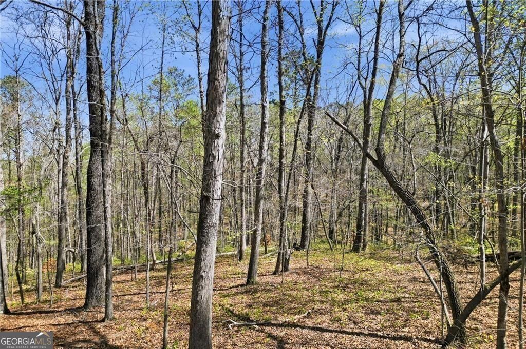 3094 Flatbottom Road Property Photo 7
