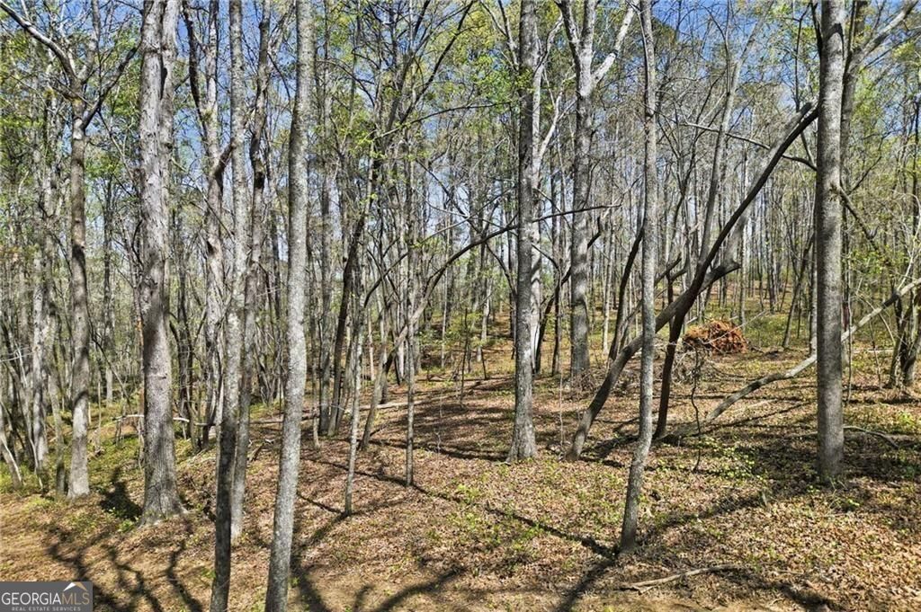 3094 Flatbottom Road Property Photo 8