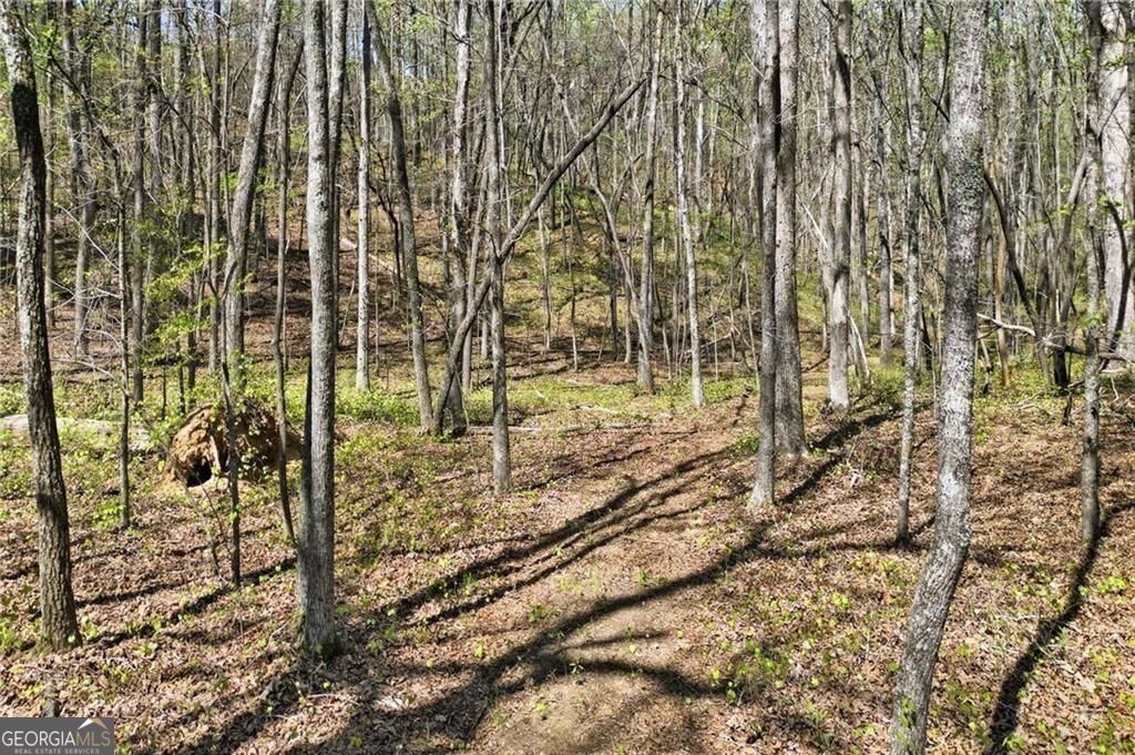 3094 Flatbottom Road Property Photo 10
