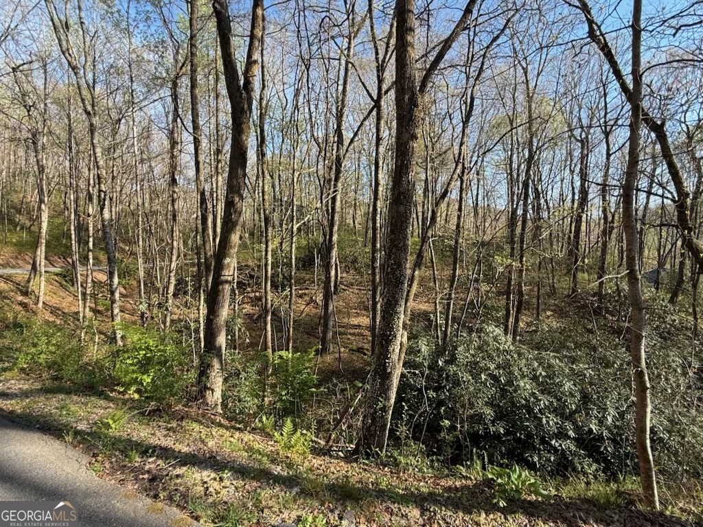 0 Thunderhead Property Photo 2