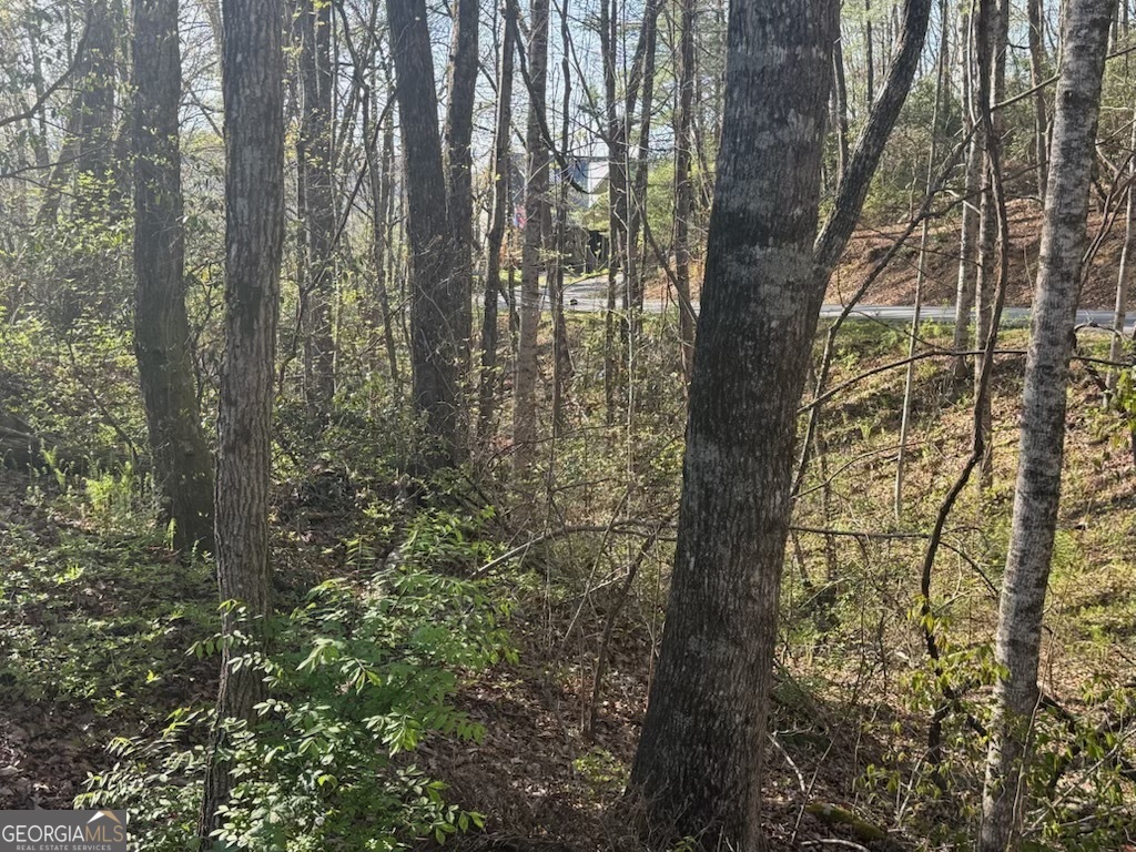 0 Thunderhead Property Photo 3