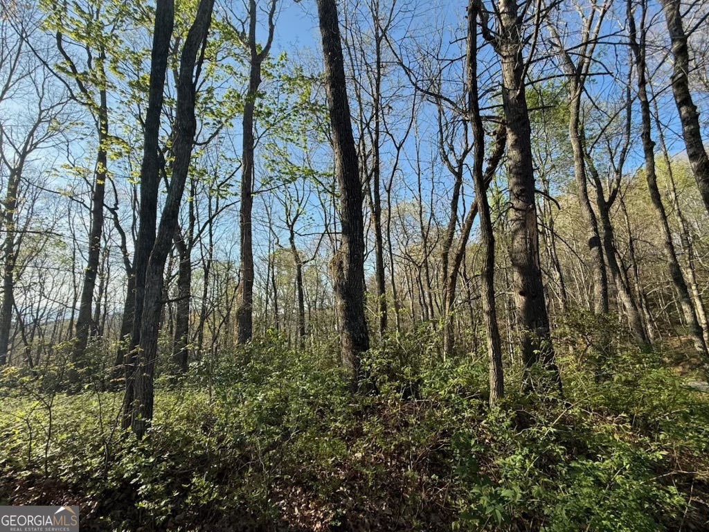 0 Thunderhead Property Photo 4