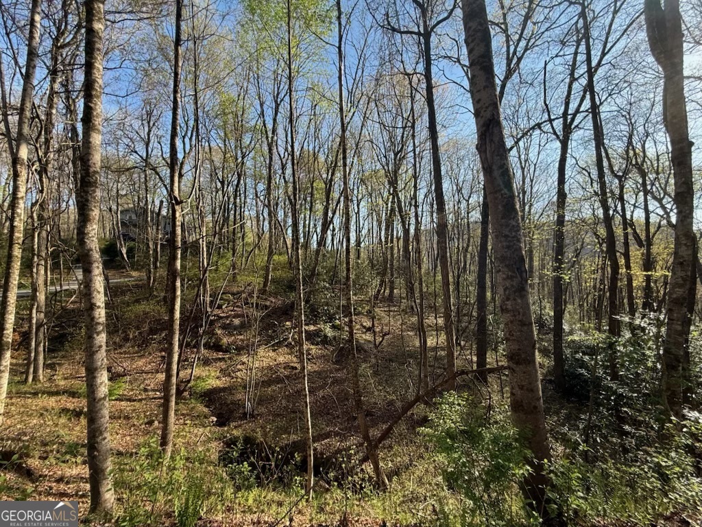 0 Thunderhead Property Photo 5