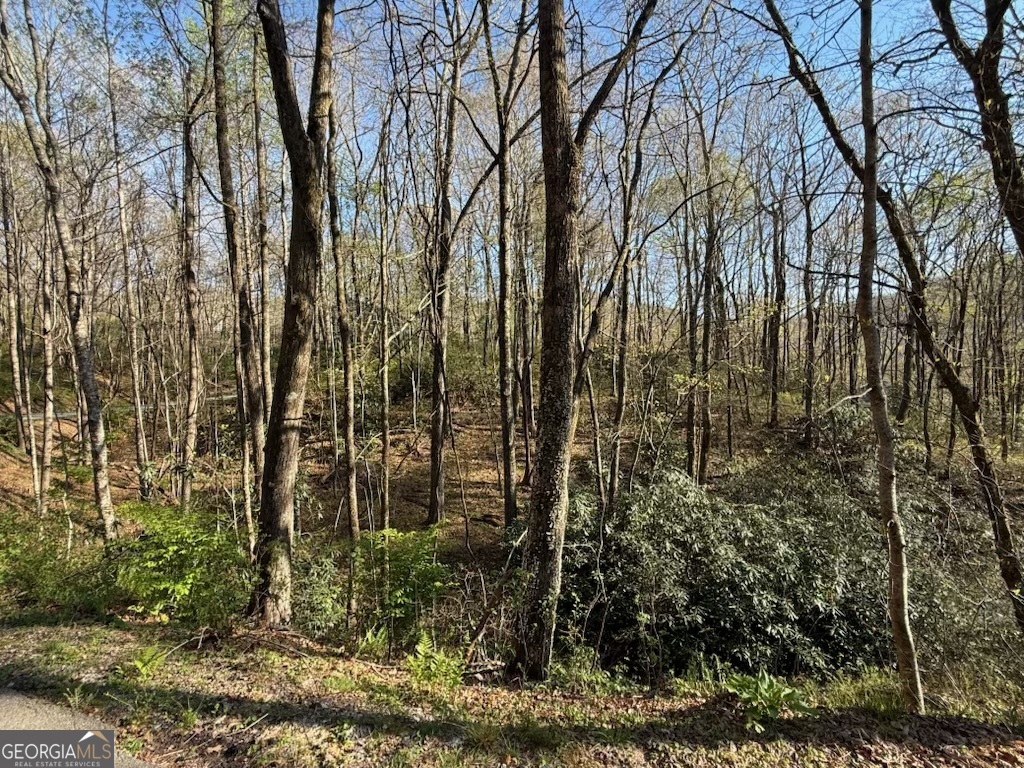 0 Thunderhead Property Photo 6