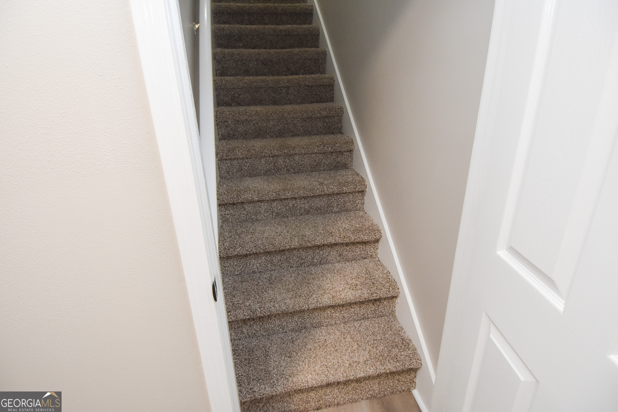 475 Jenkinsburg Road Property Photo 48